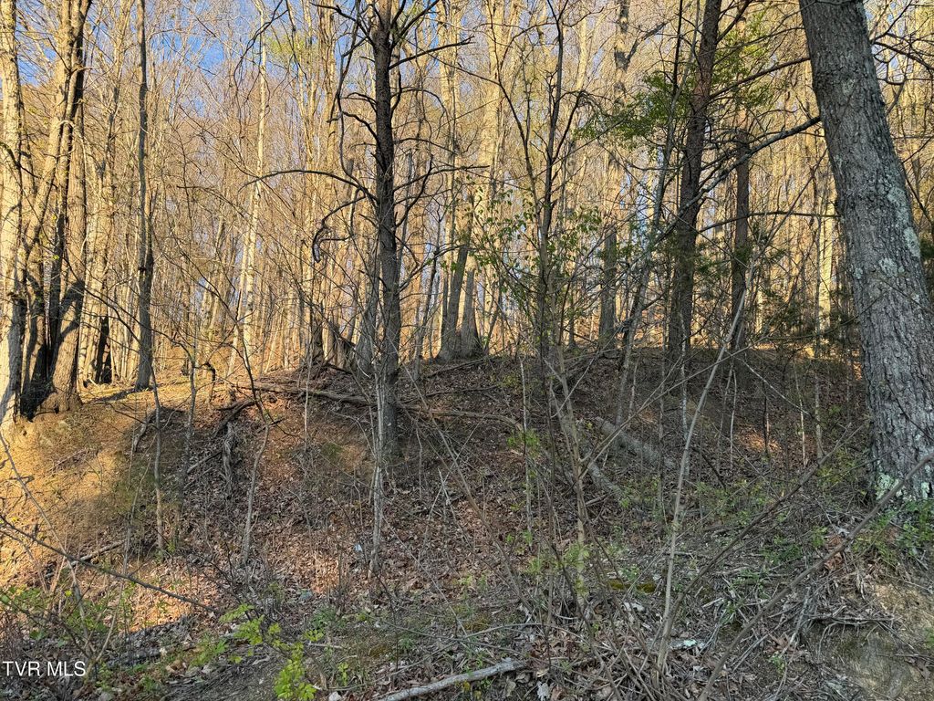 Photo of Tbd Possum Hollow Road, Johnson City, TN 37615 (MLS # 9993528)