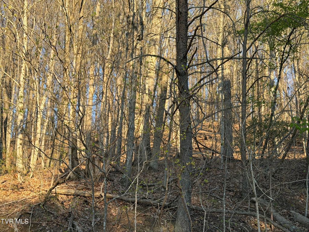 Photo of Tbd Possum Hollow Road, Johnson City, TN 37615 (MLS # 9993528)