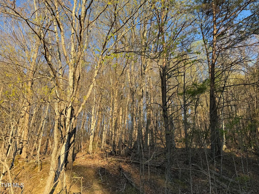 Photo of Tbd Possum Hollow Road, Johnson City, TN 37615 (MLS # 9993528)