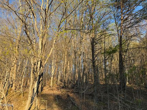 Vacant Land For Sale - TBD Possum Hollow Road<br/> Washington County County, Johnson City, TN 37615