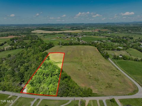Vacant Land For Sale - LOT-3 Bailey Bridge Road<br/> Limestone, TN 37681