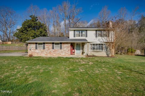 Photo of 5636 Apache Drive, Kingsport, TN 37664 (MLS # 9992189)