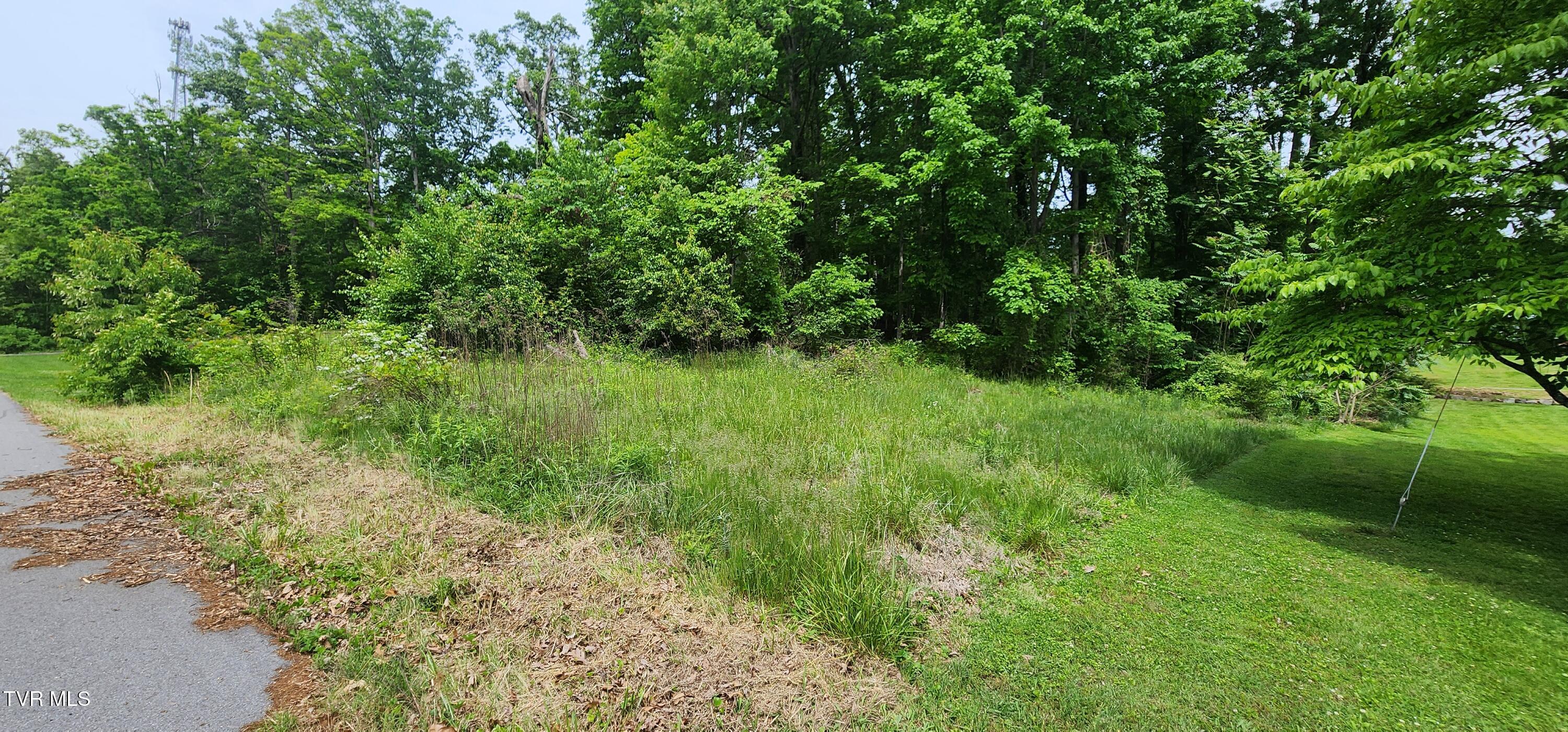 Tbd Willow Street, Mount Carmel, Tennessee image 5