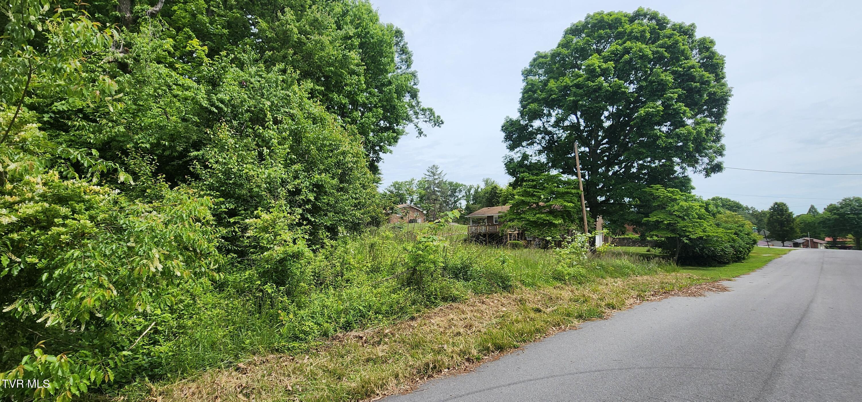 Tbd Willow Street, Mount Carmel, Tennessee image 6