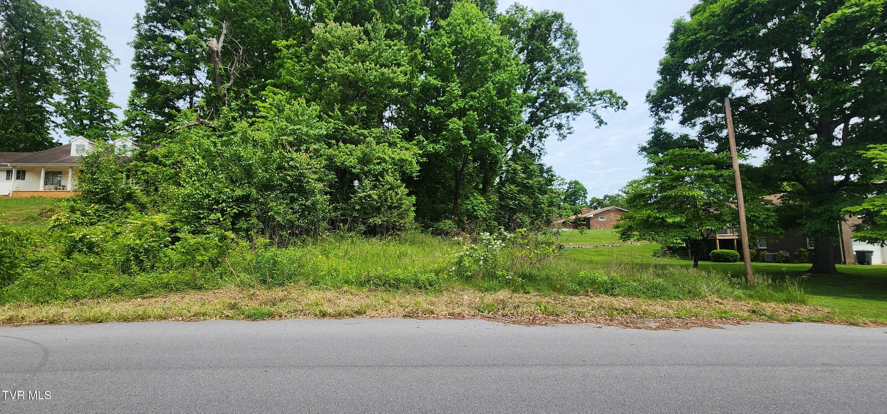 Tbd Willow Street, Mount Carmel, Tennessee image 2