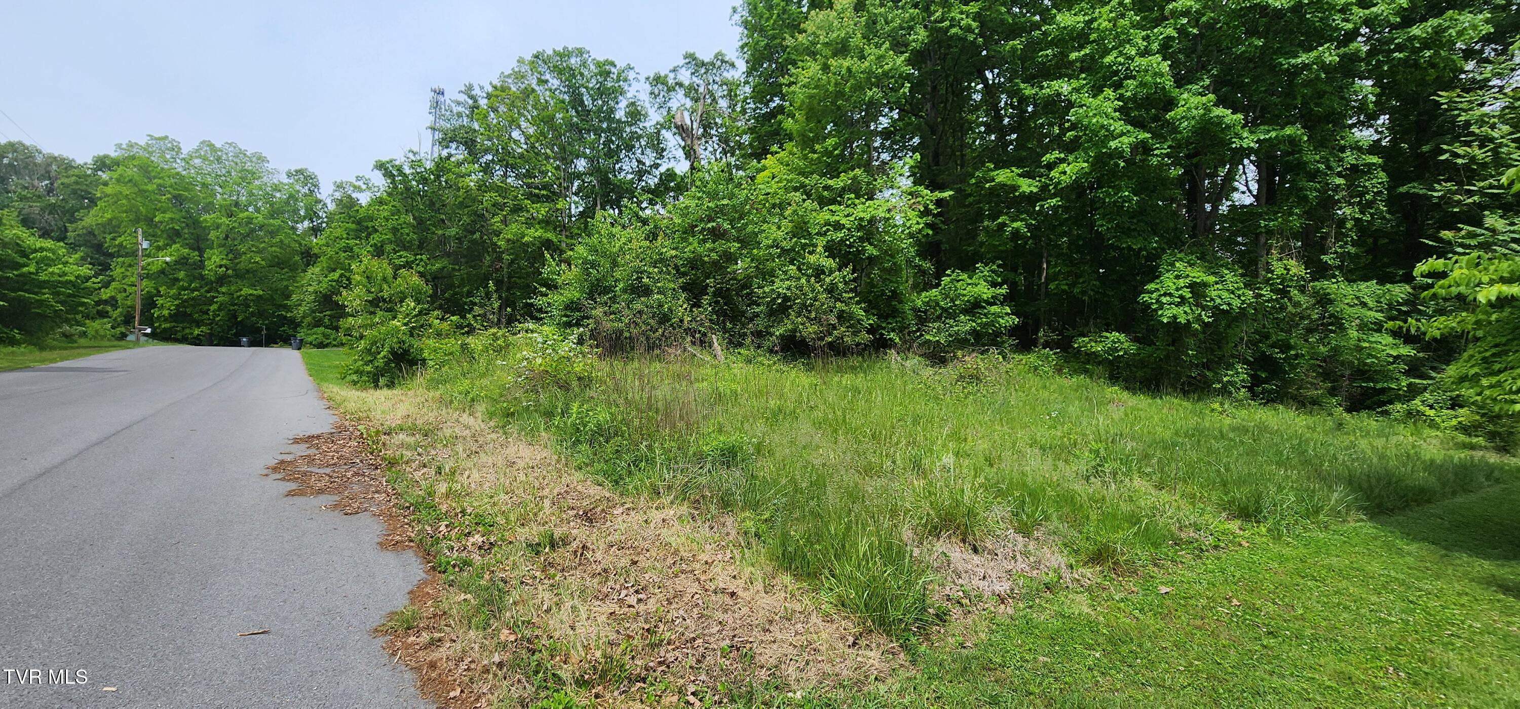 Tbd Willow Street, Mount Carmel, Tennessee image 3