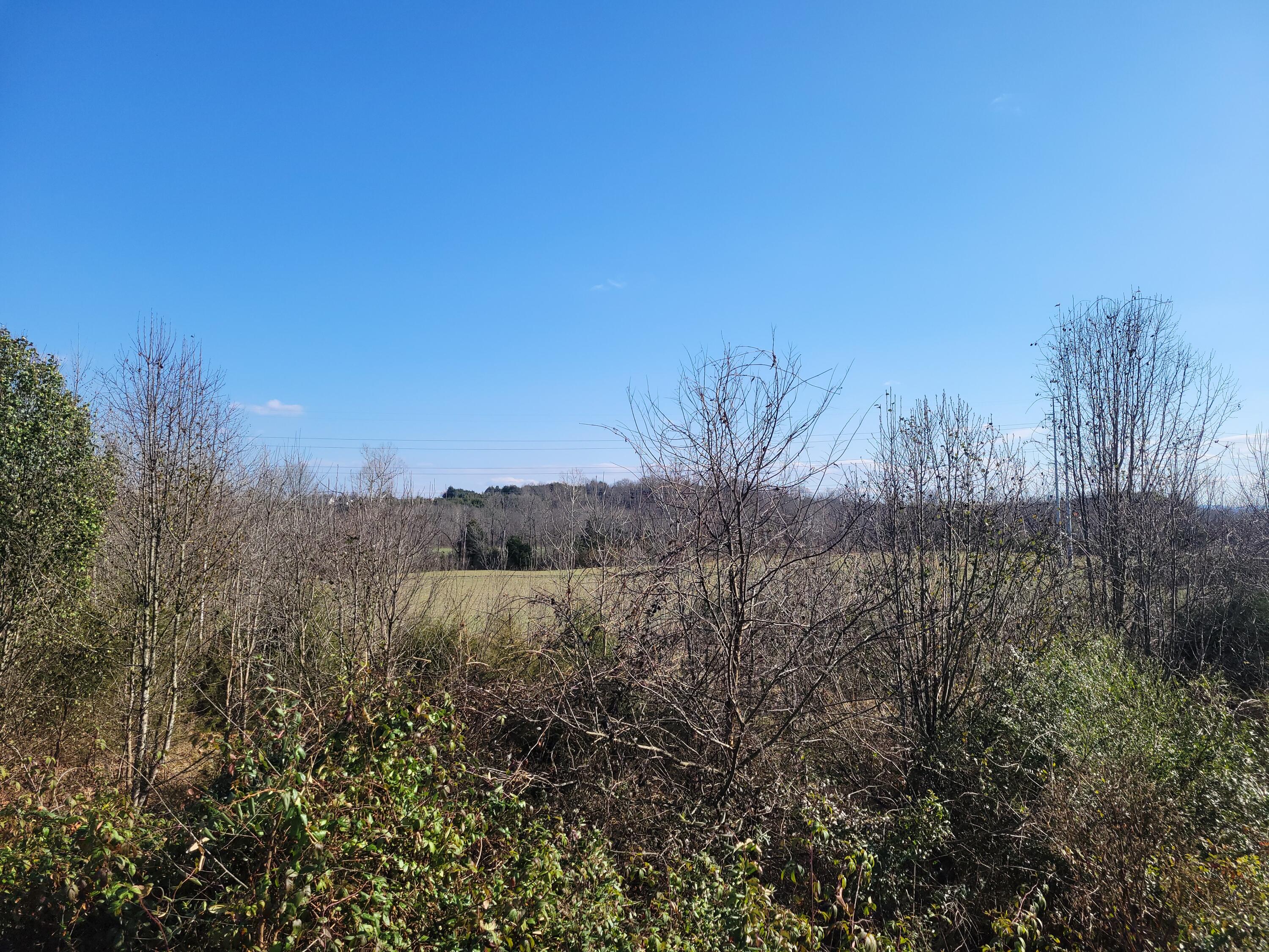 Tbd Gap Creek Road, Bulls Gap, Tennessee image 7