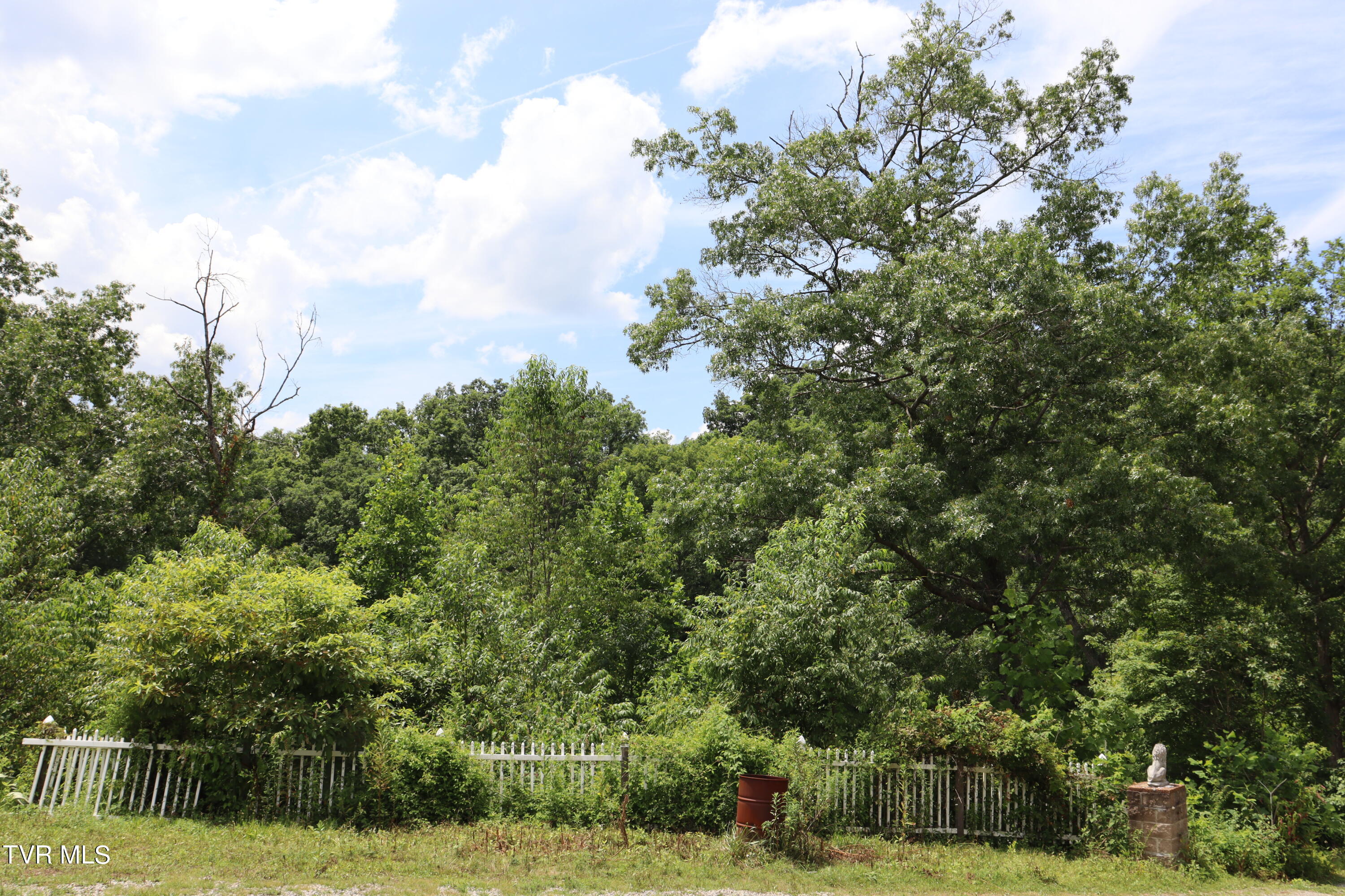 2497 Upper Copper Creek Road, Castlewood, Virginia image 46
