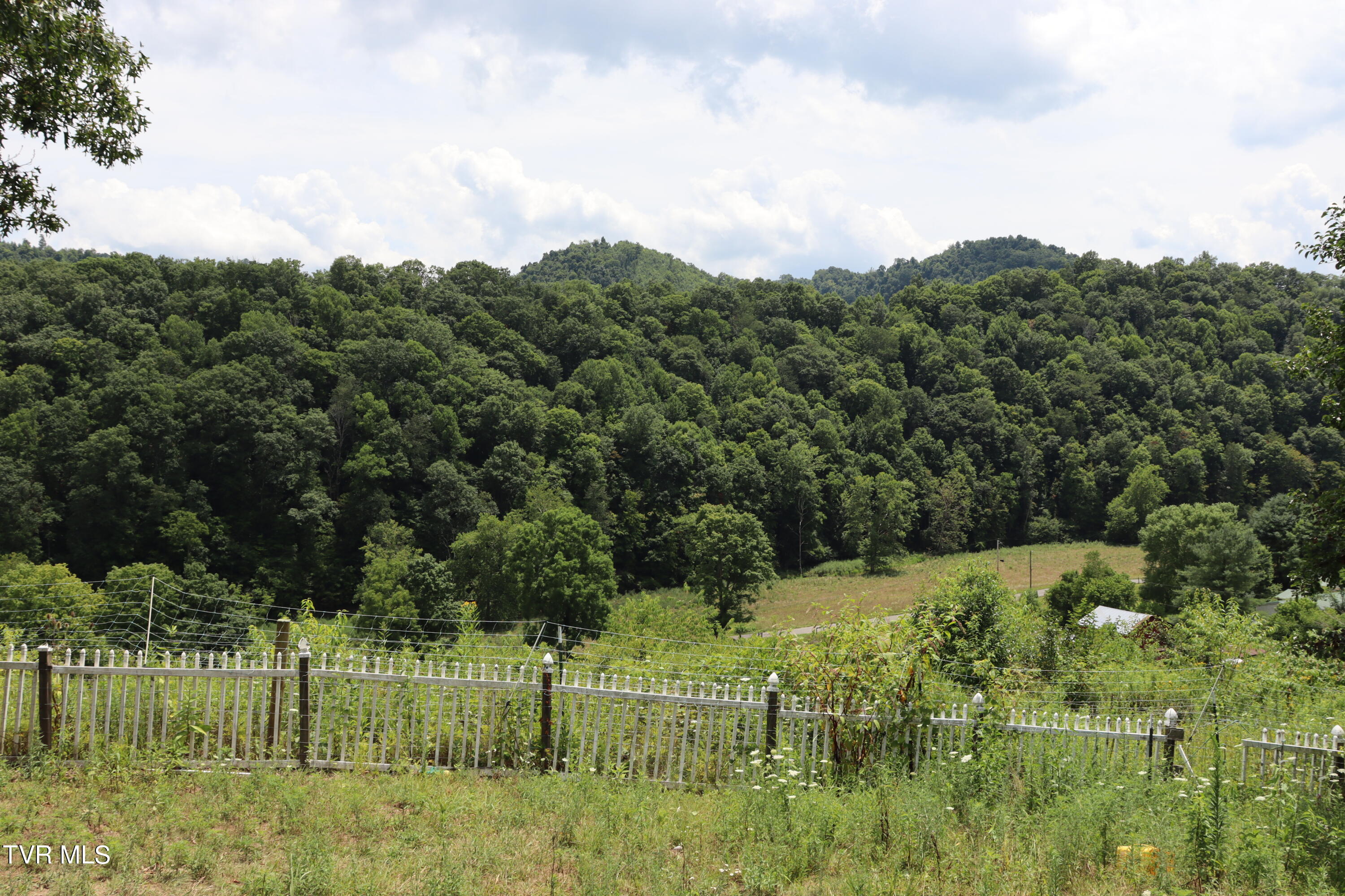 2497 Upper Copper Creek Road, Castlewood, Virginia image 45
