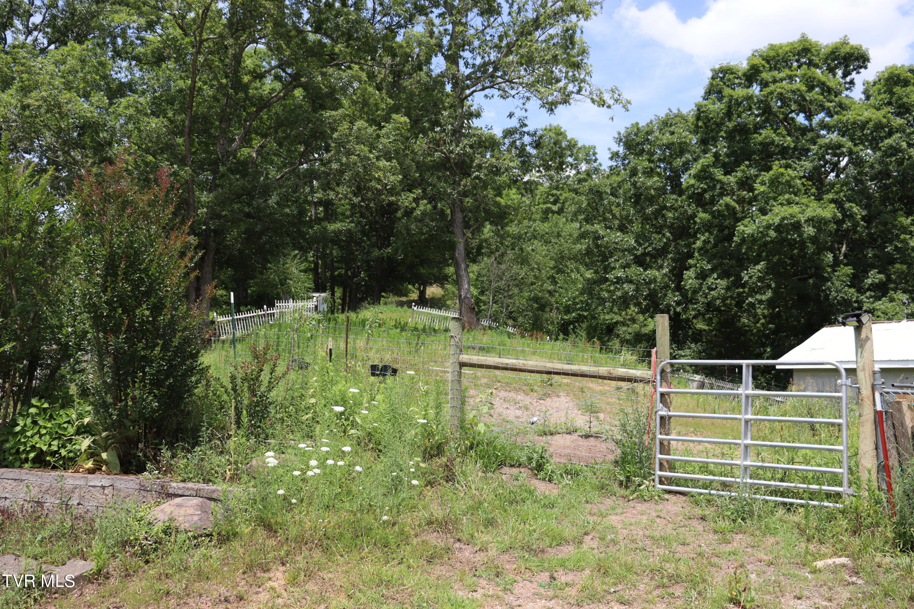 2497 Upper Copper Creek Road, Castlewood, Virginia image 47