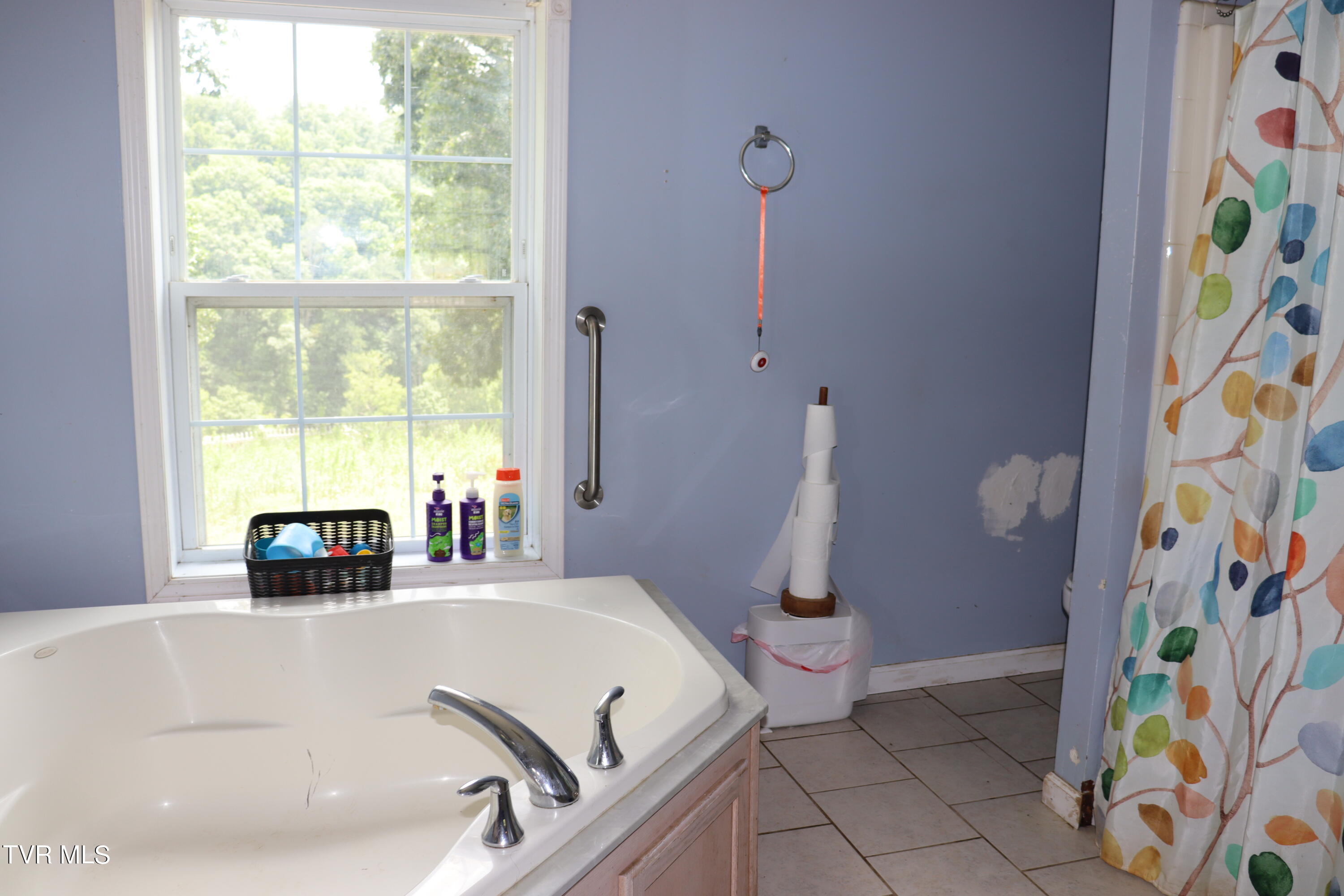 2497 Upper Copper Creek Road, Castlewood, Virginia image 40