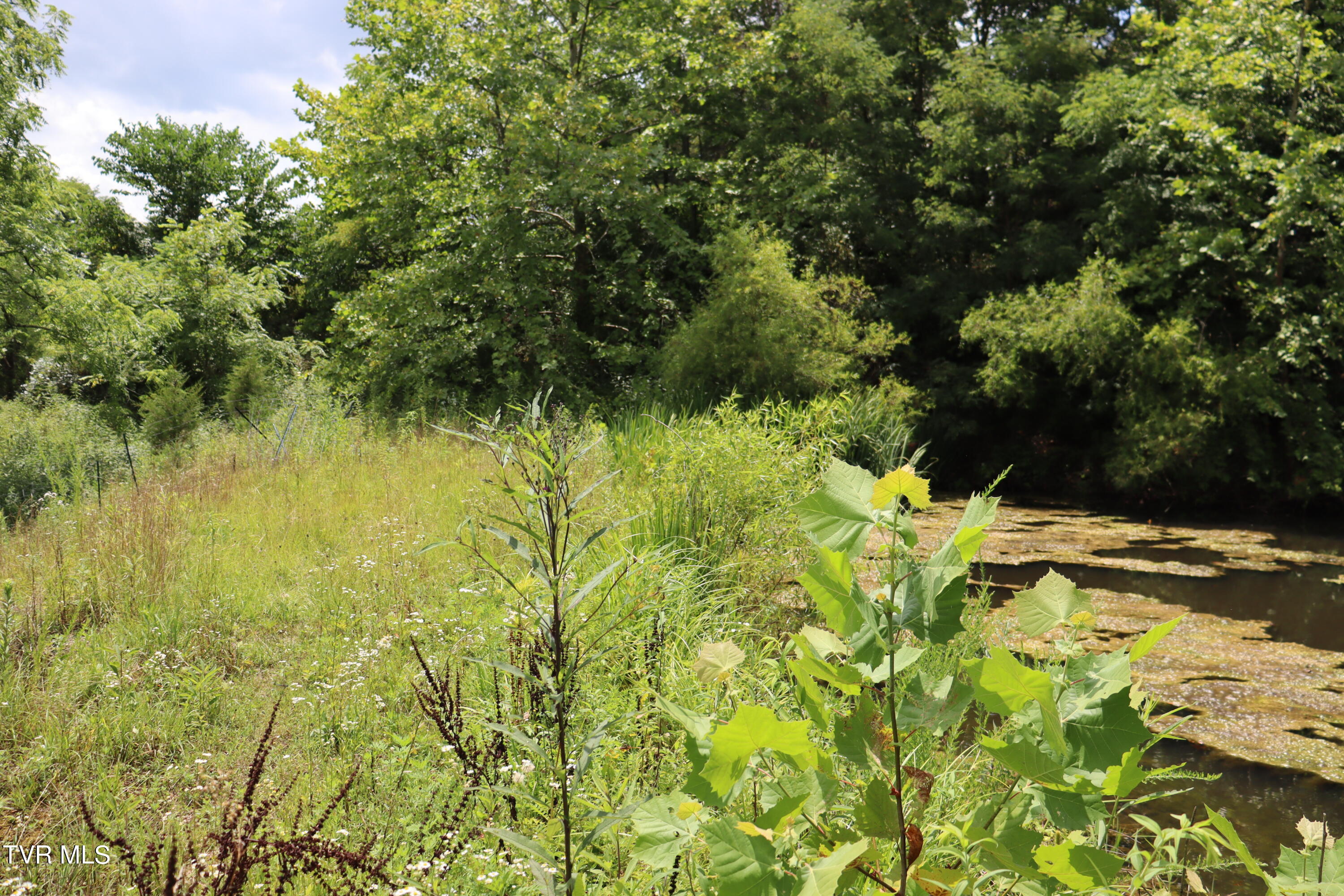 2497 Upper Copper Creek Road, Castlewood, Virginia image 49