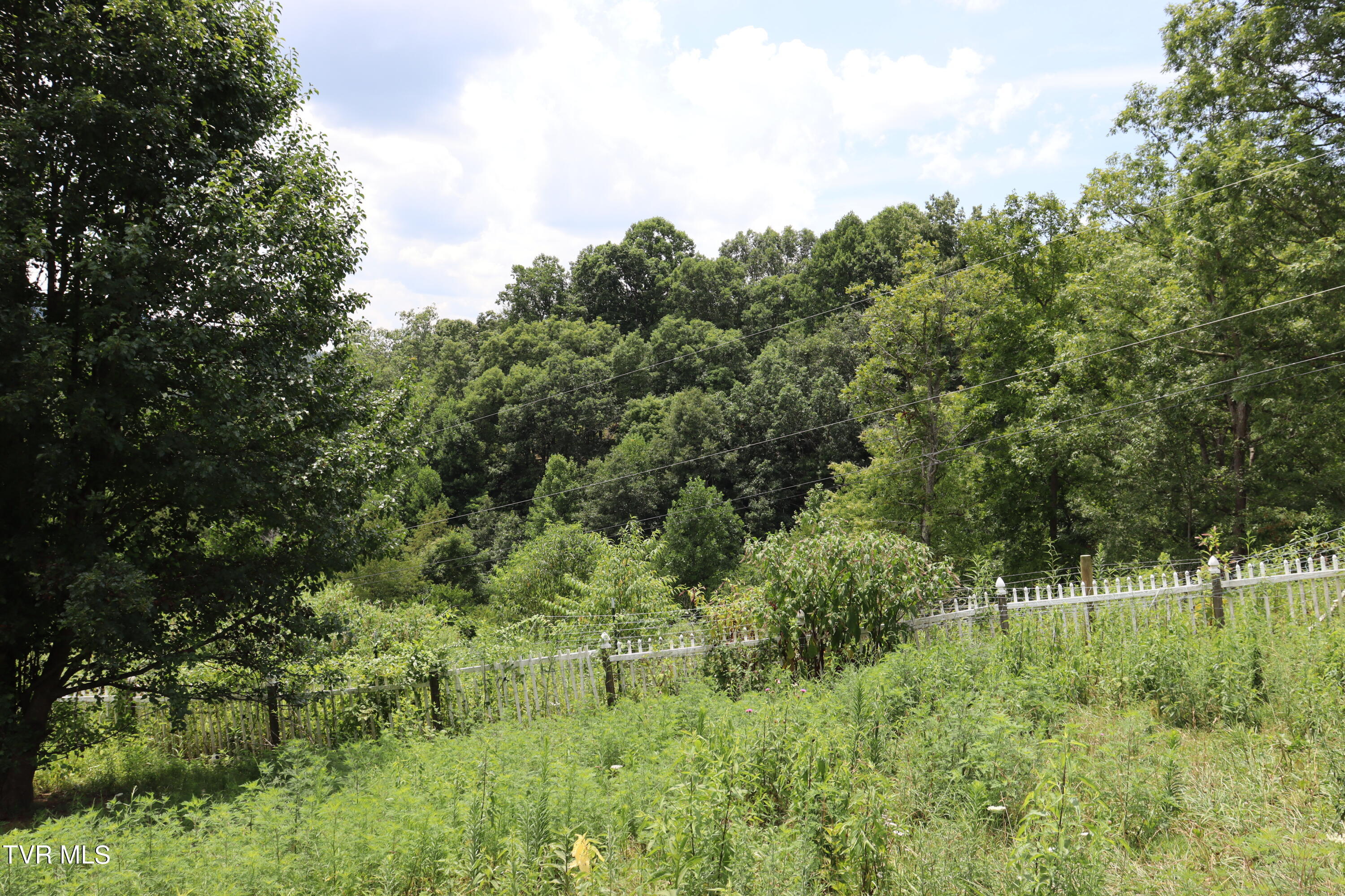 2497 Upper Copper Creek Road, Castlewood, Virginia image 44