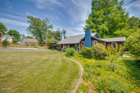 Photo of 4245 Maplewood Street, Kingsport, TN 37660 (MLS # 9995694)