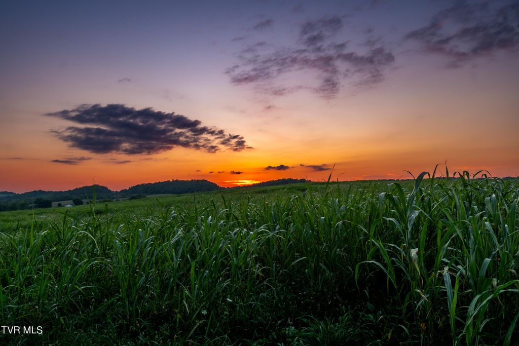 Photo of Tbd Old Hall Road Parcel 3, Limestone, TN 37681 (MLS # 9990050)