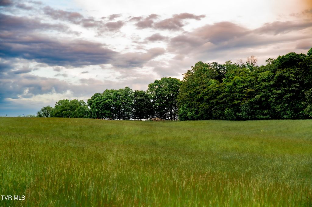 Photo of Tbd Old Hall Road Parcel 3, Limestone, TN 37681 (MLS # 9990050)