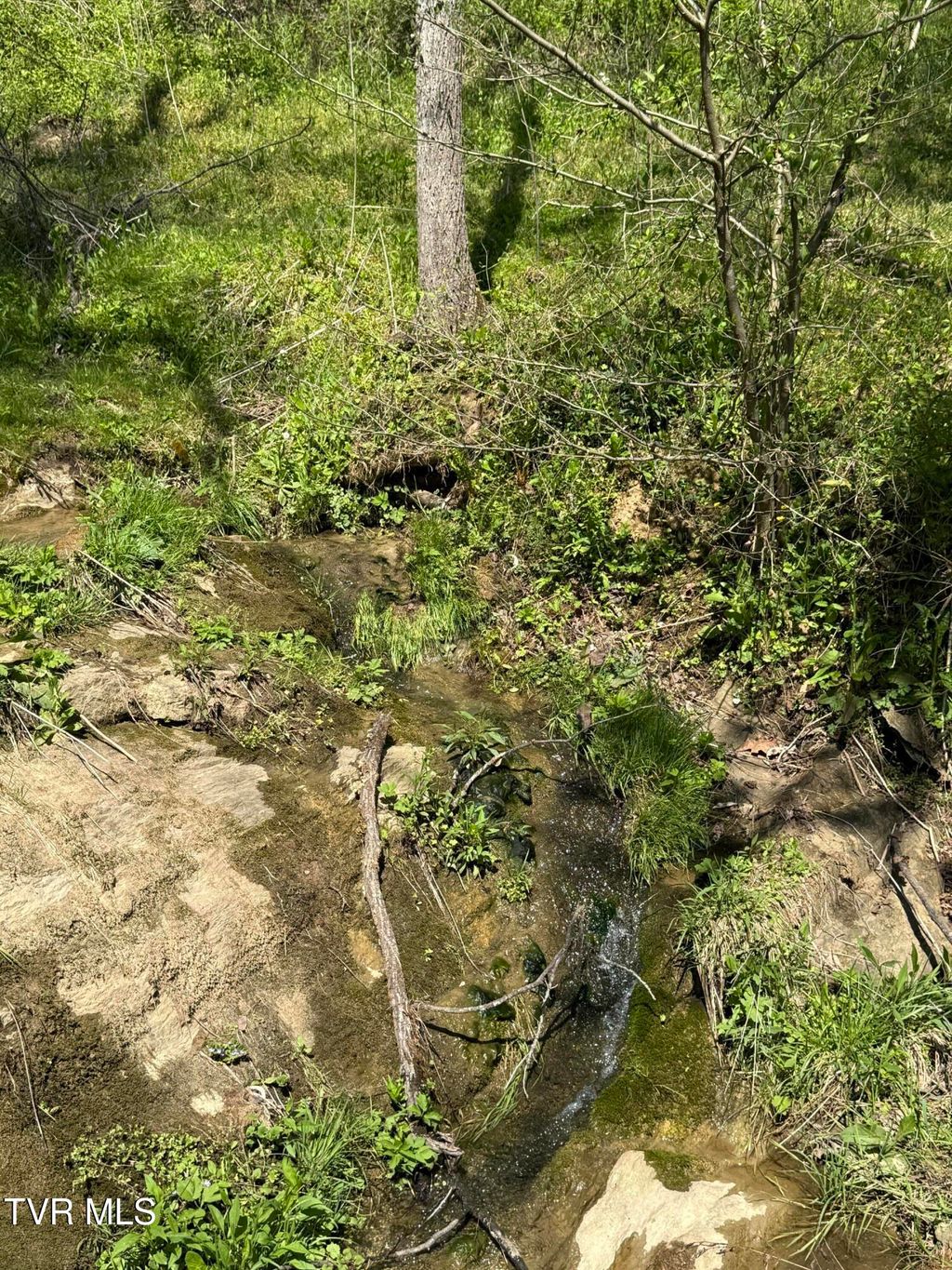 Photo of 0000 Goshen Valley Road, Church Hill, TN 37642 (MLS # 9993715)