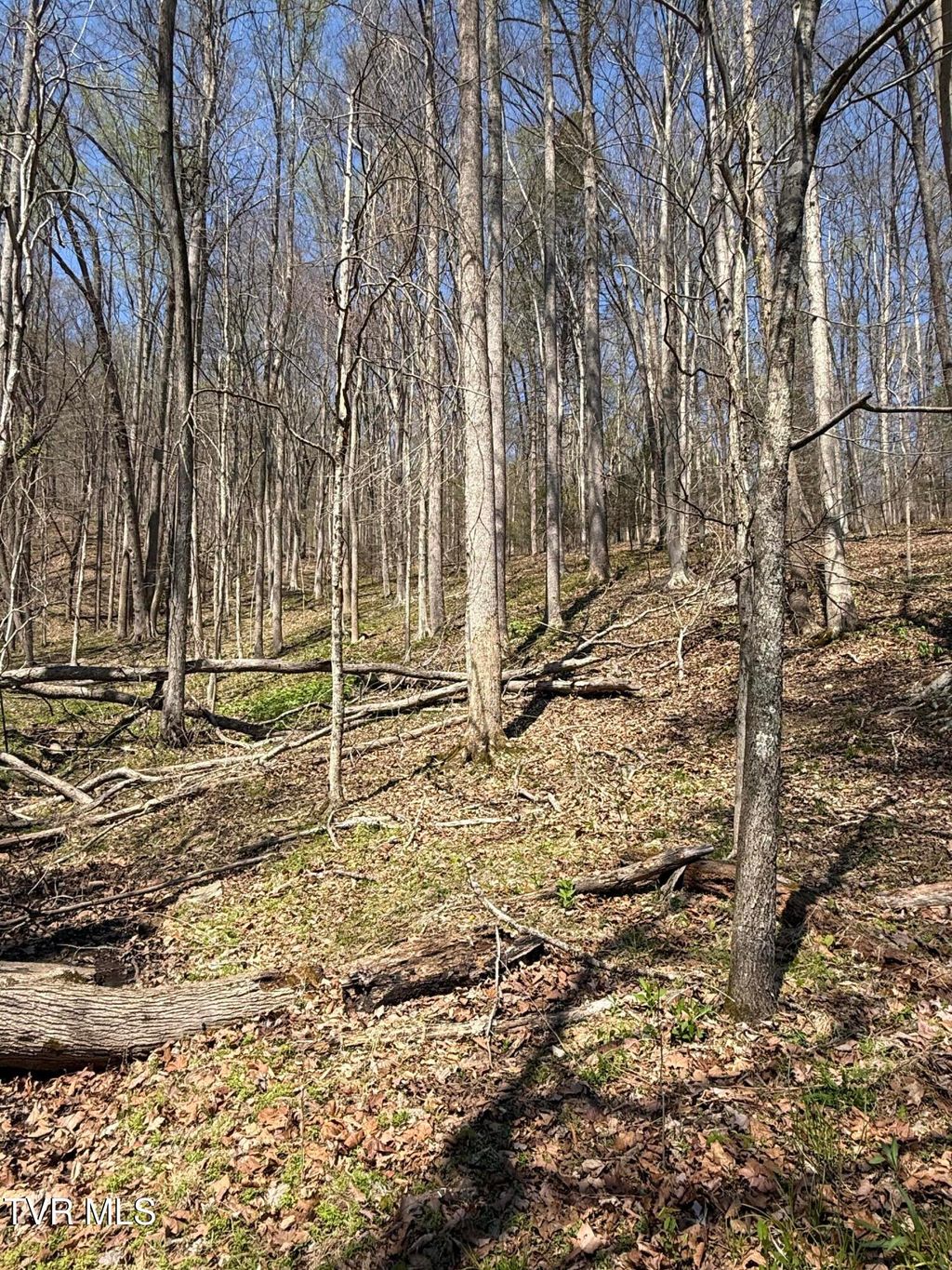 Photo of 0000 Goshen Valley Road, Church Hill, TN 37642 (MLS # 9993715)