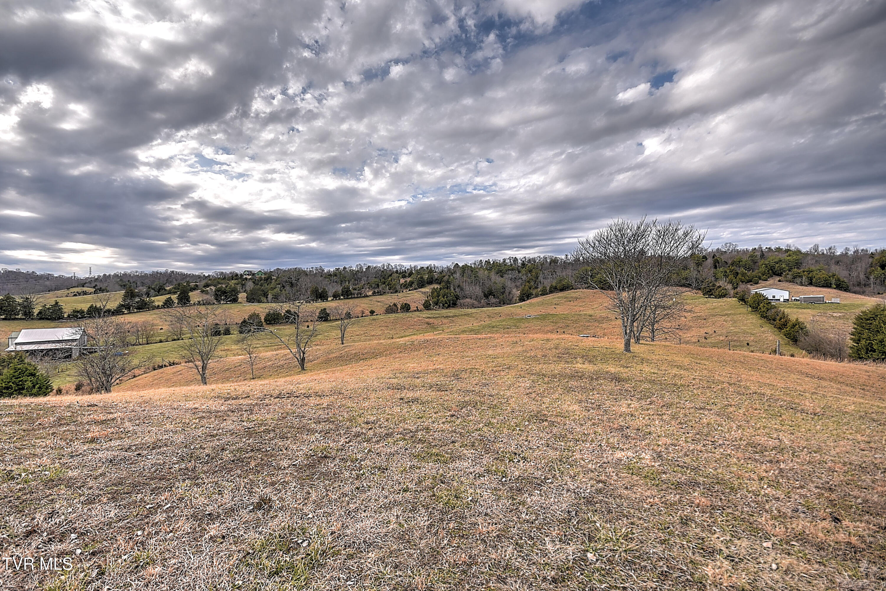 890 Webster Valley Road, Rogersville, Tennessee image 18