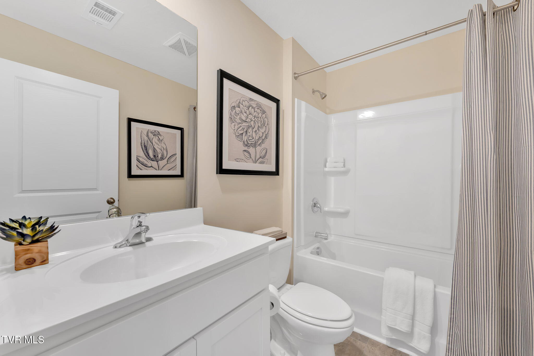 1132 Aspen Terrace, Greeneville, Tennessee image 12