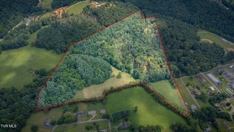 Vacant Land For Sale - TBD Dogwood Avenue<br/> Johnson County, Mountain City, TN 37683