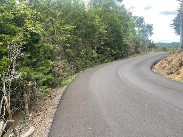 371 Geisler Road, Piney Flats, Tennessee image 6