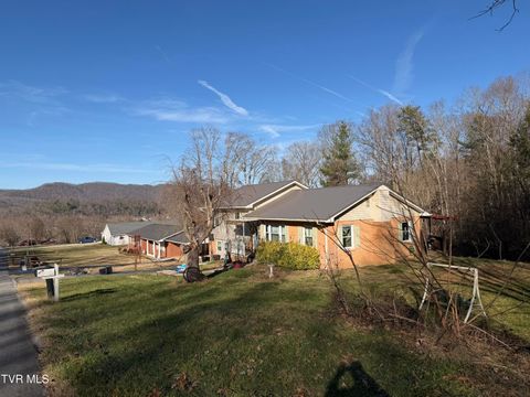 Photo of 208 Sycamore Street, Erwin, TN 37650 (MLS # 9989583)
