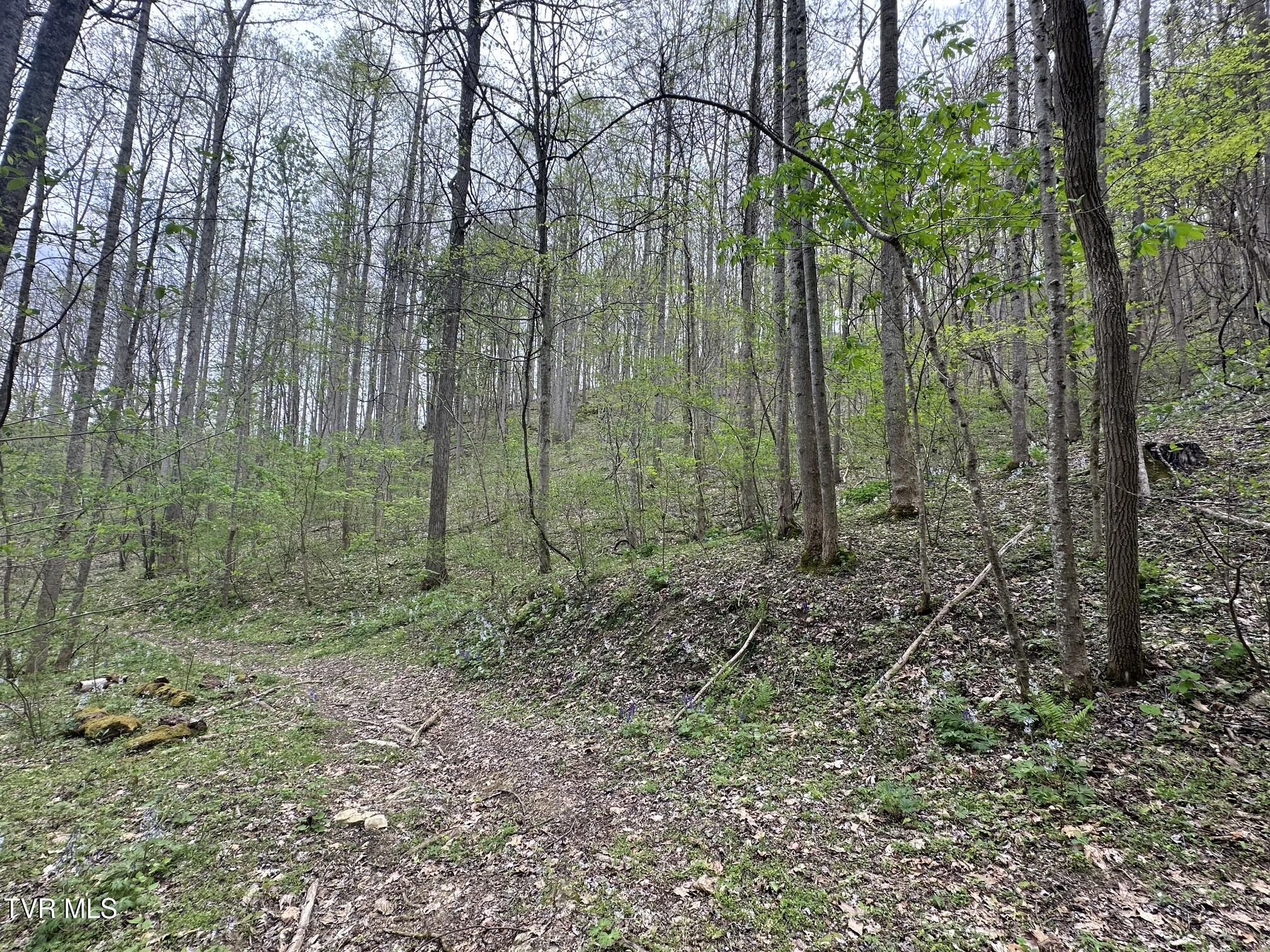 10318 Caney Valley Road