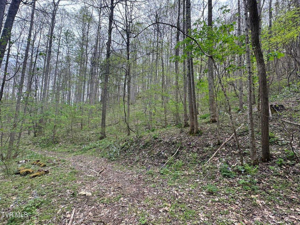 Photo of 10318 Caney Valley Road, Bristol, VA 24202 (MLS # 9993871)