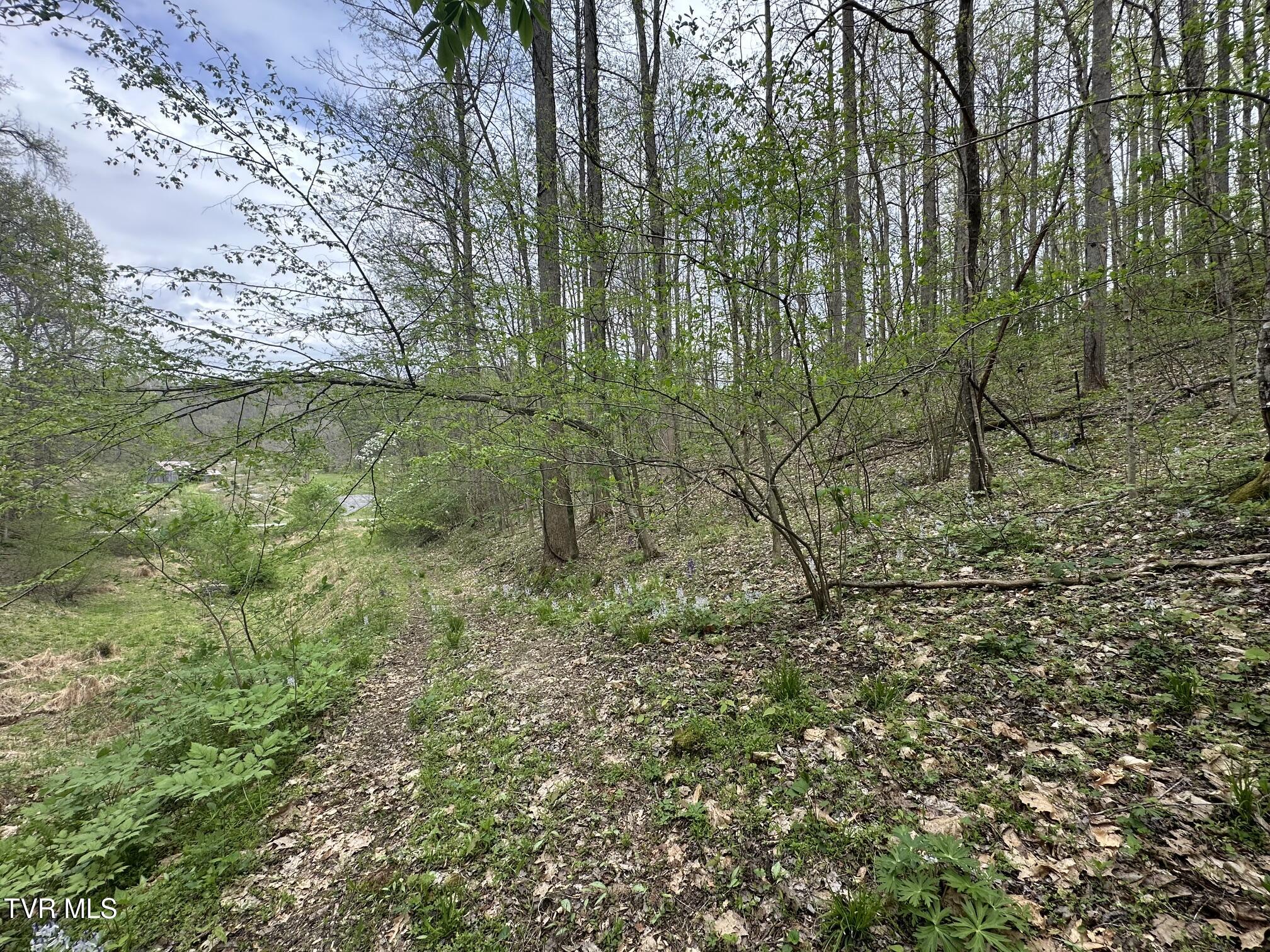 10318 Caney Valley Road