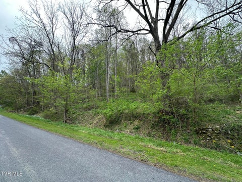 Vacant Land For Sale - 10318 Caney Valley Road<br/> Bristol, VA 24202