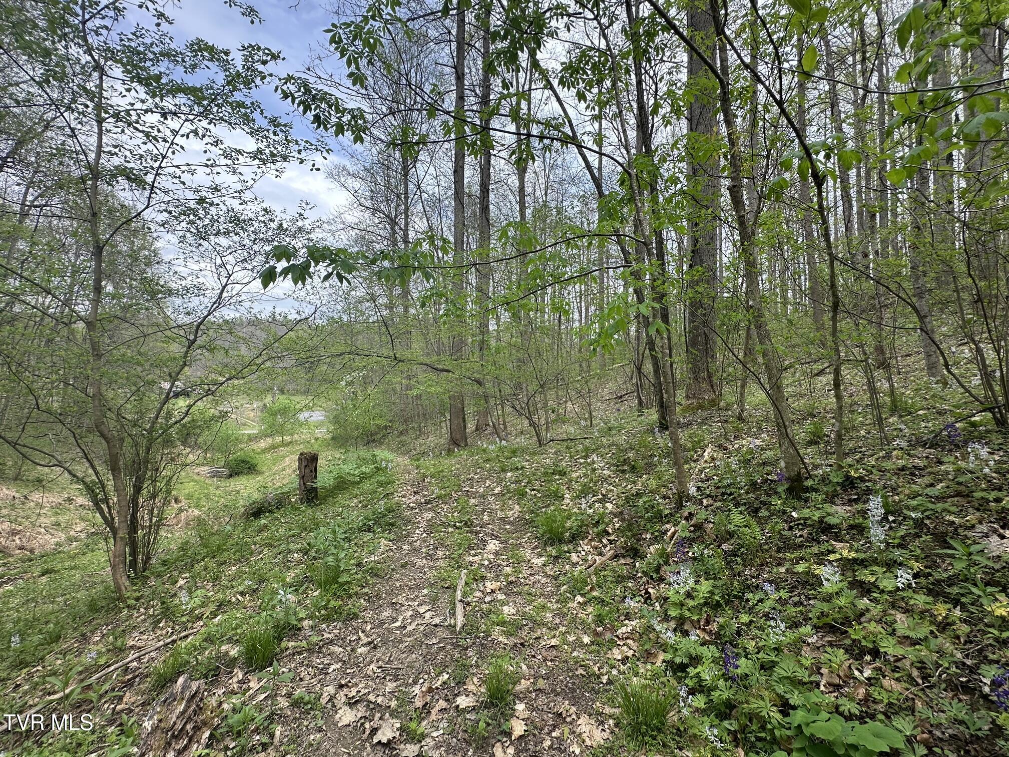 10318 Caney Valley Road