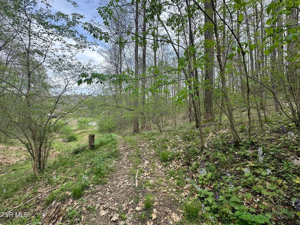 Photo of 10318 Caney Valley Road, Bristol, VA 24202 (MLS # 9993871)