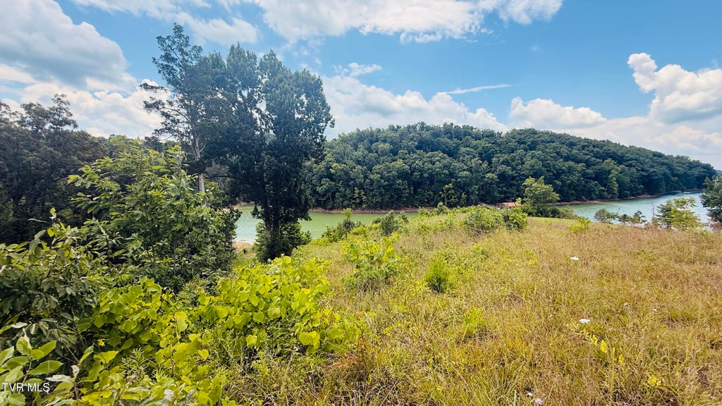 Photo of 5 Stone Cove Way, Dandridge, TN 37725 (MLS # 9997987)