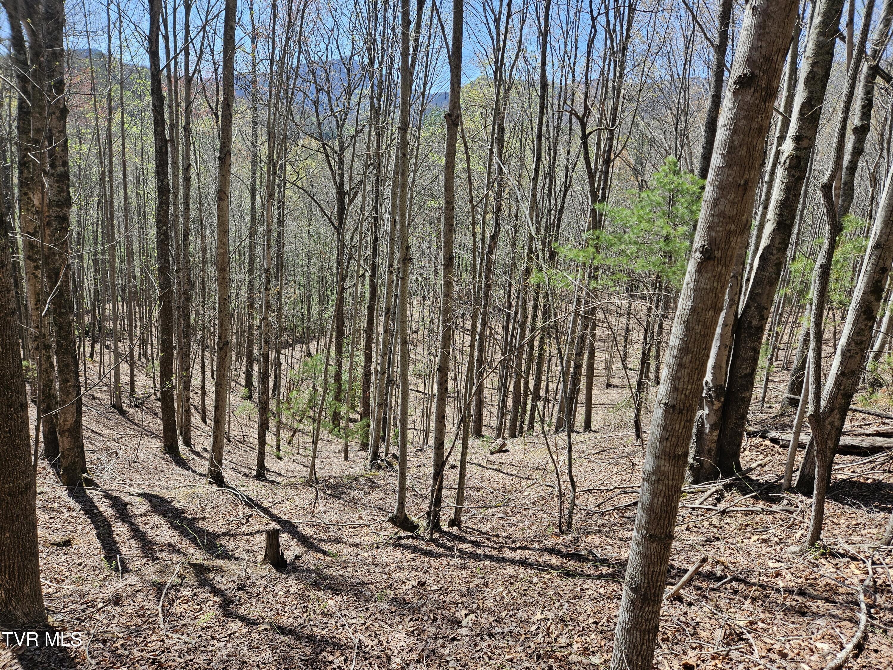 0000 Ray Kegley Road, Erwin, Tennessee image 11