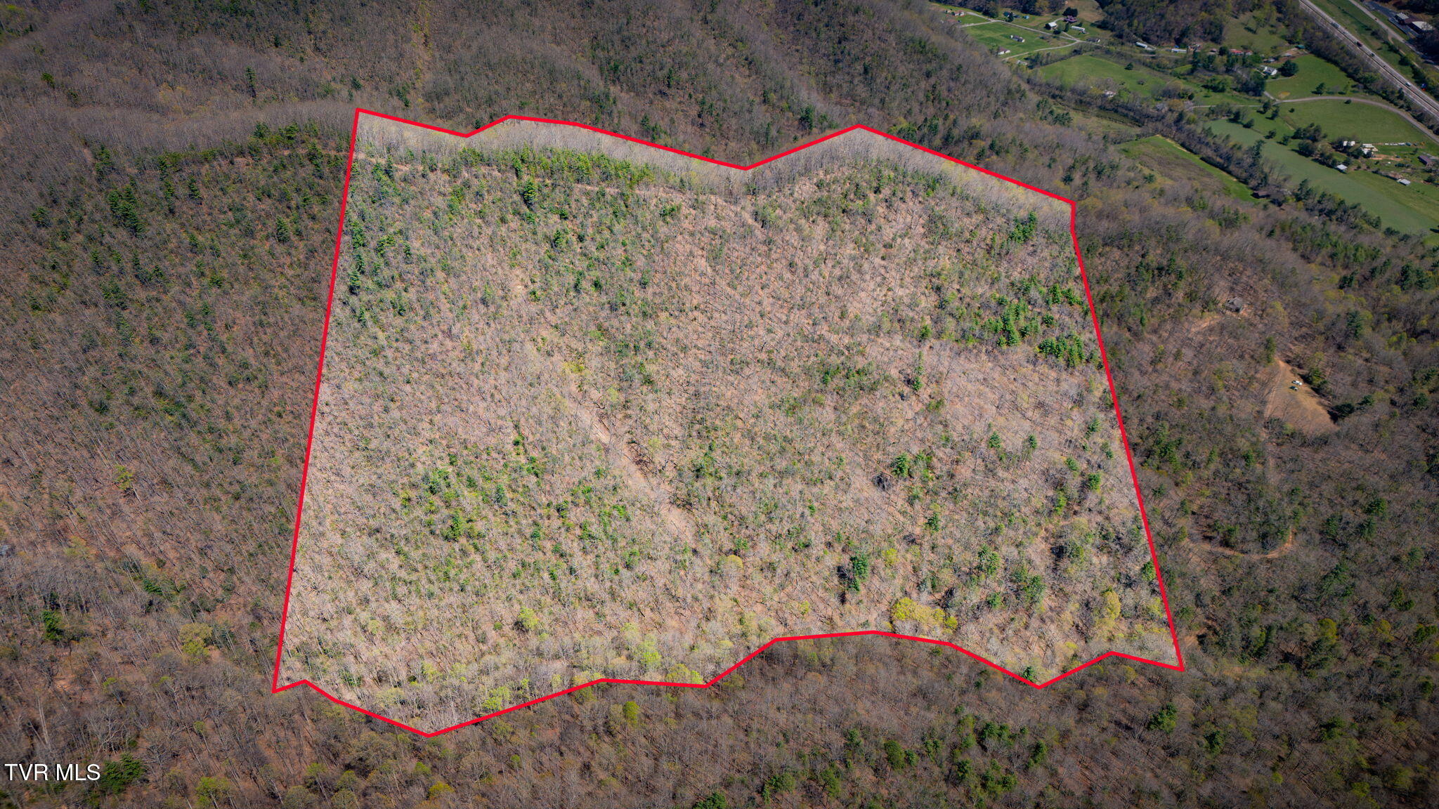 0000 Ray Kegley Road, Erwin, Tennessee image 1