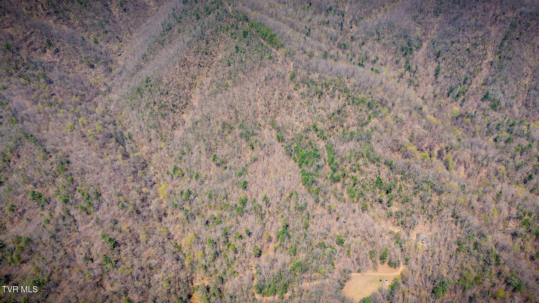 0000 Ray Kegley Road, Erwin, Tennessee image 14