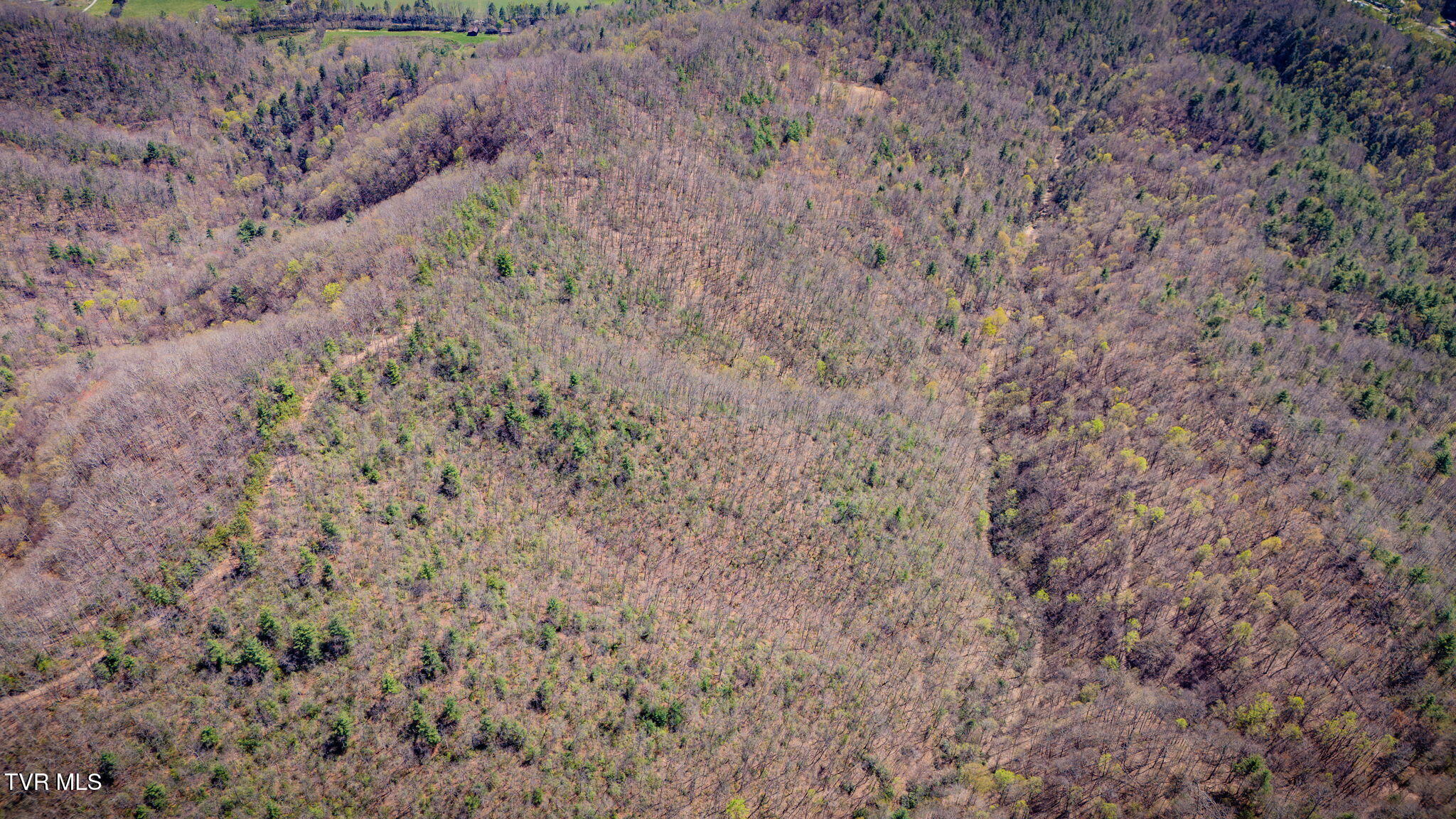 0000 Ray Kegley Road, Erwin, Tennessee image 19