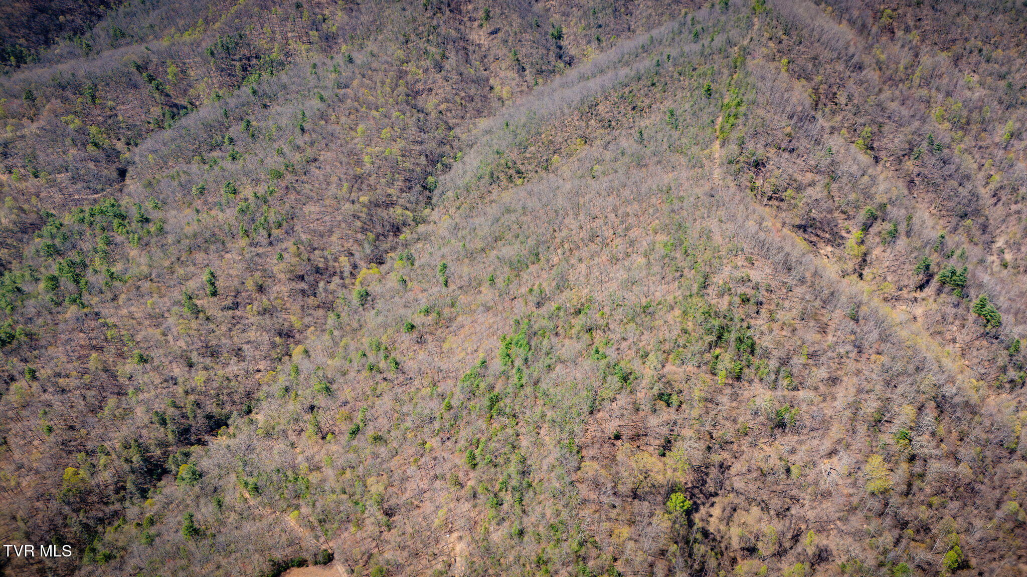 0000 Ray Kegley Road, Erwin, Tennessee image 15