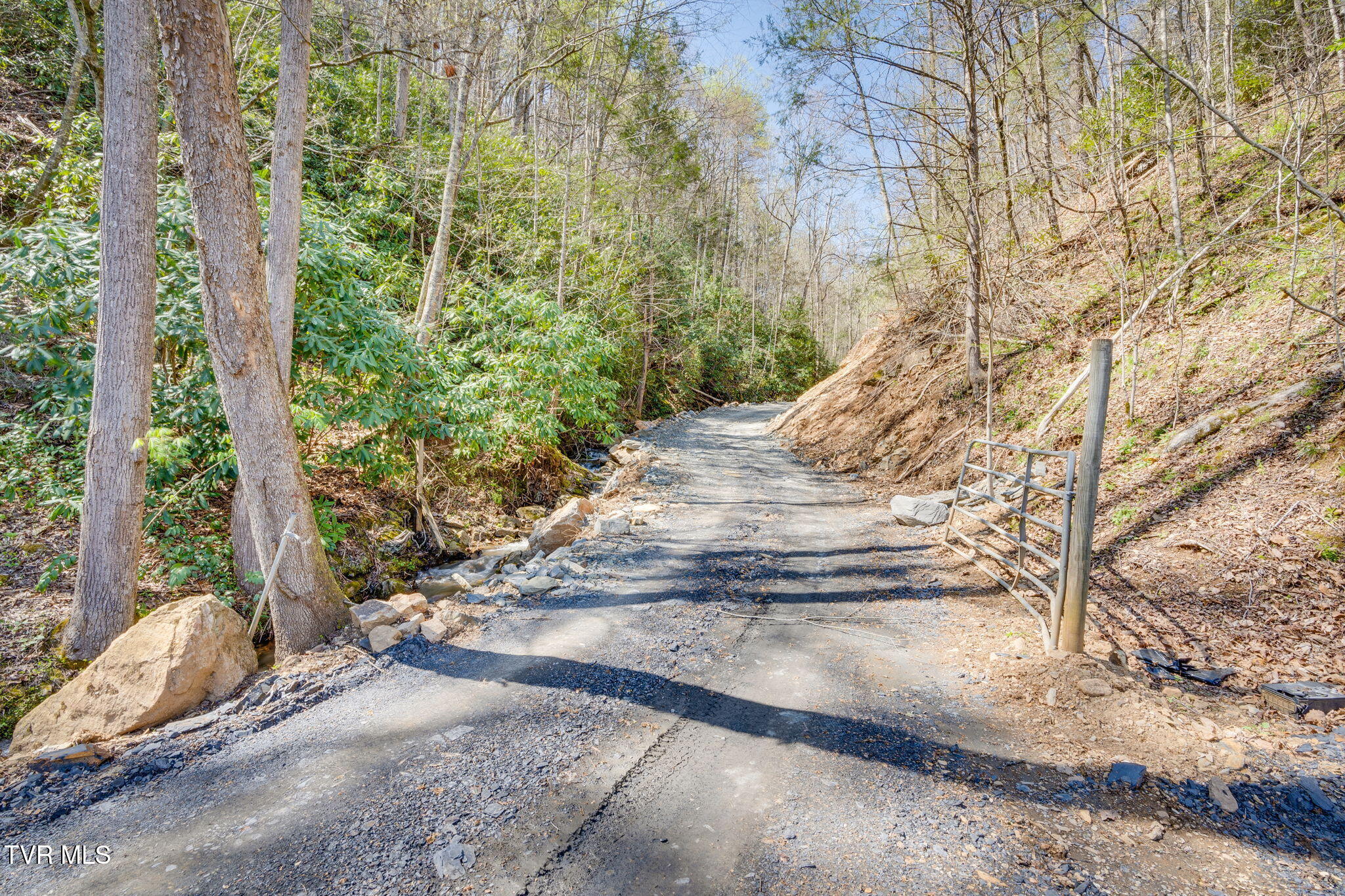 0000 Ray Kegley Road, Erwin, Tennessee image 3
