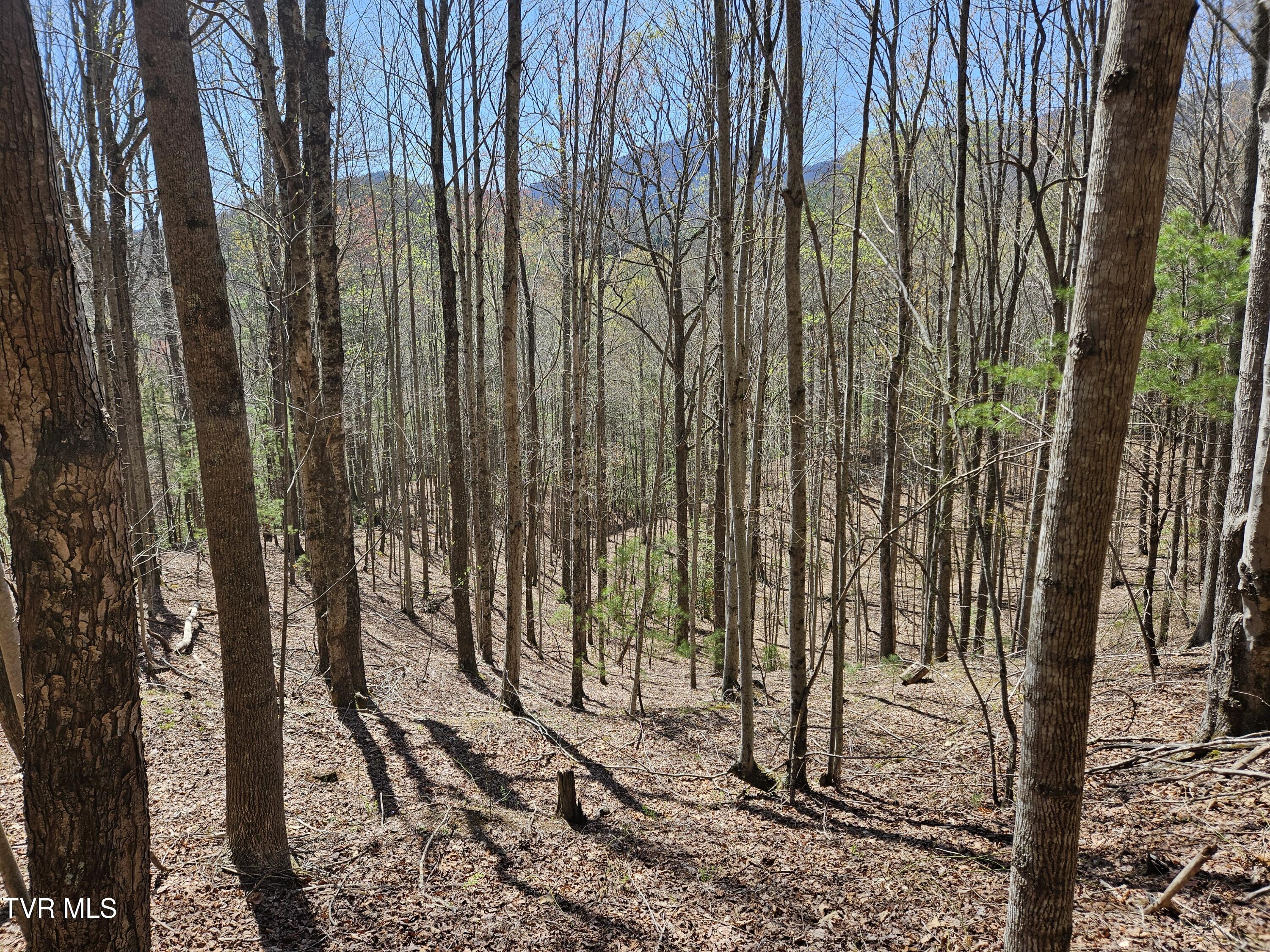 0000 Ray Kegley Road, Erwin, Tennessee image 10