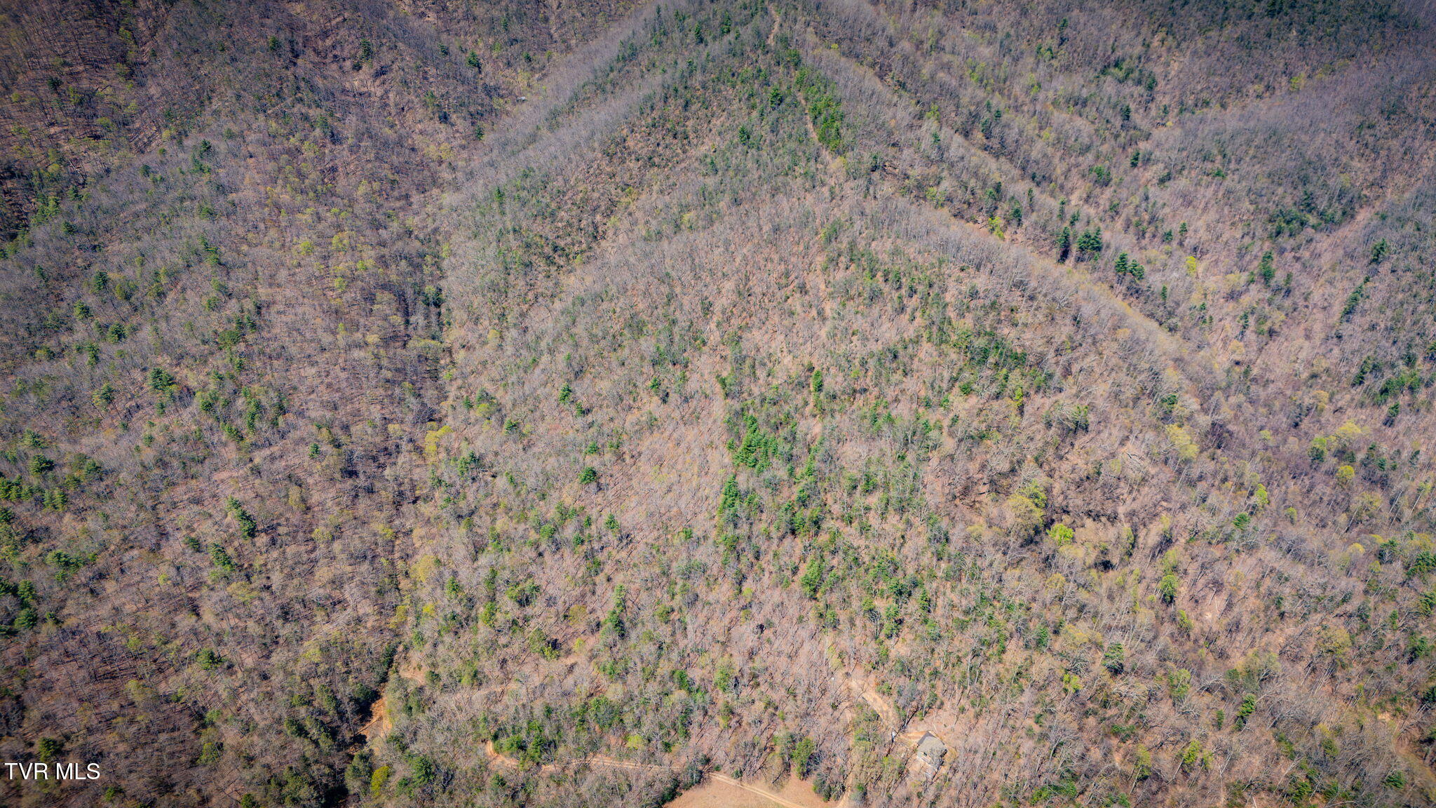 0000 Ray Kegley Road, Erwin, Tennessee image 13