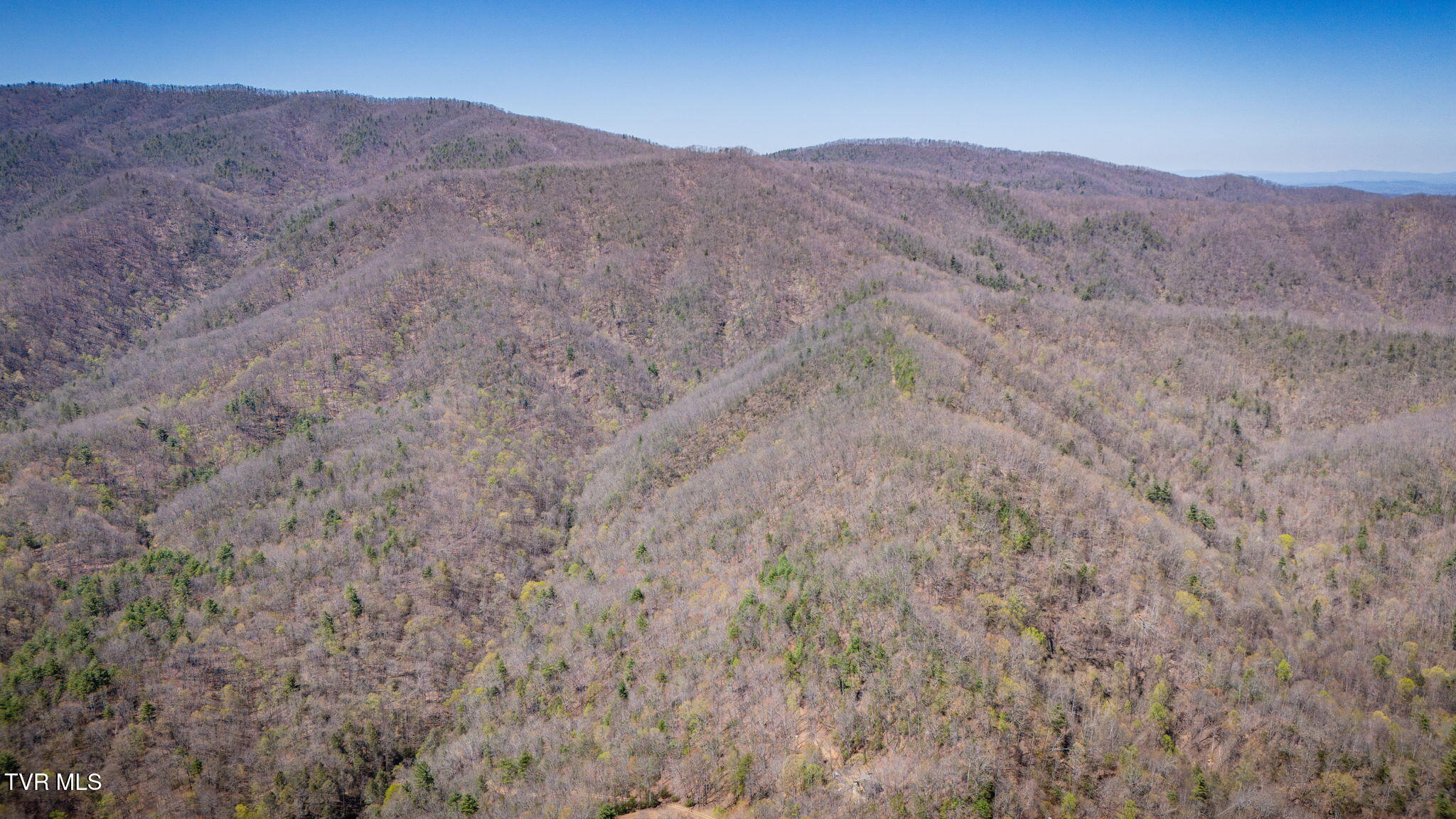0000 Ray Kegley Road, Erwin, Tennessee image 17