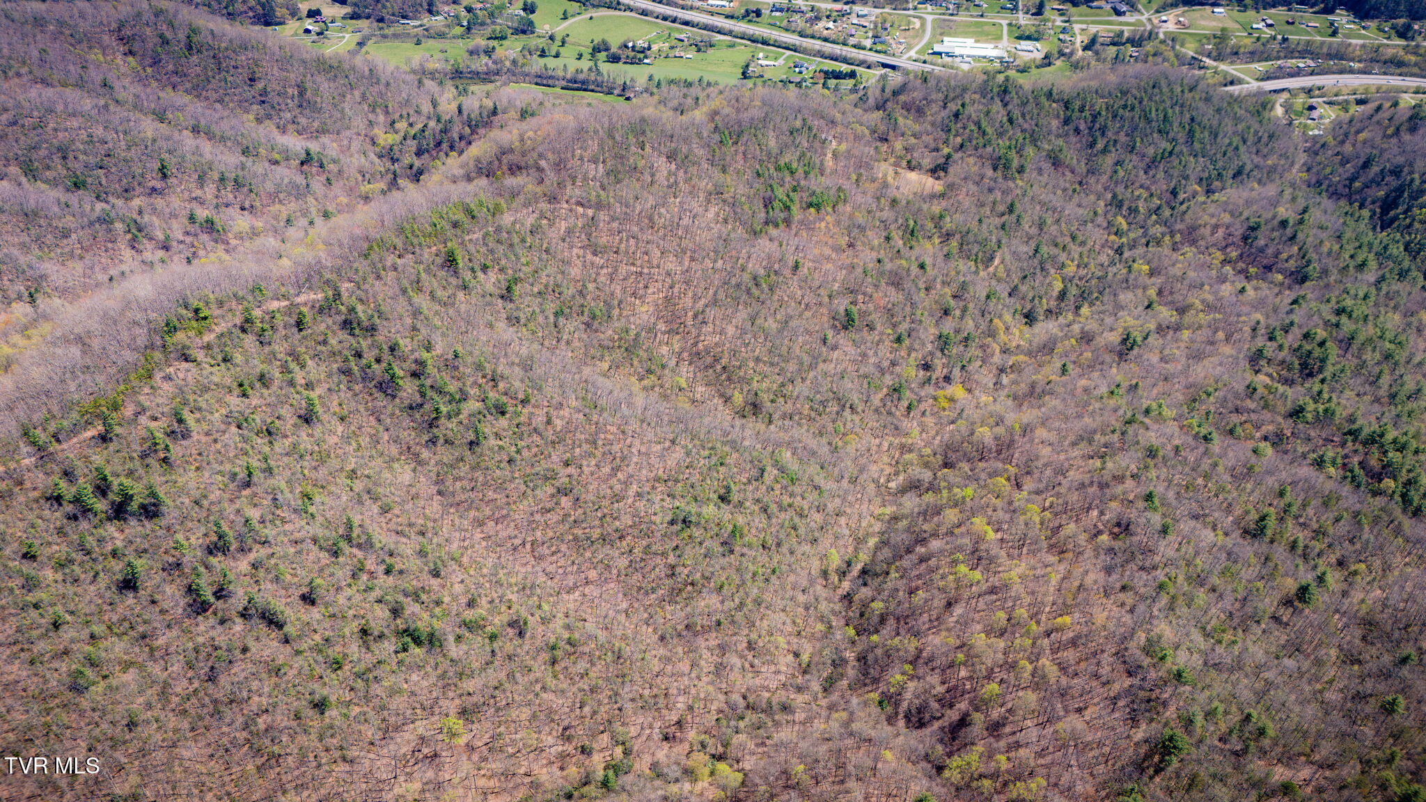 0000 Ray Kegley Road, Erwin, Tennessee image 21