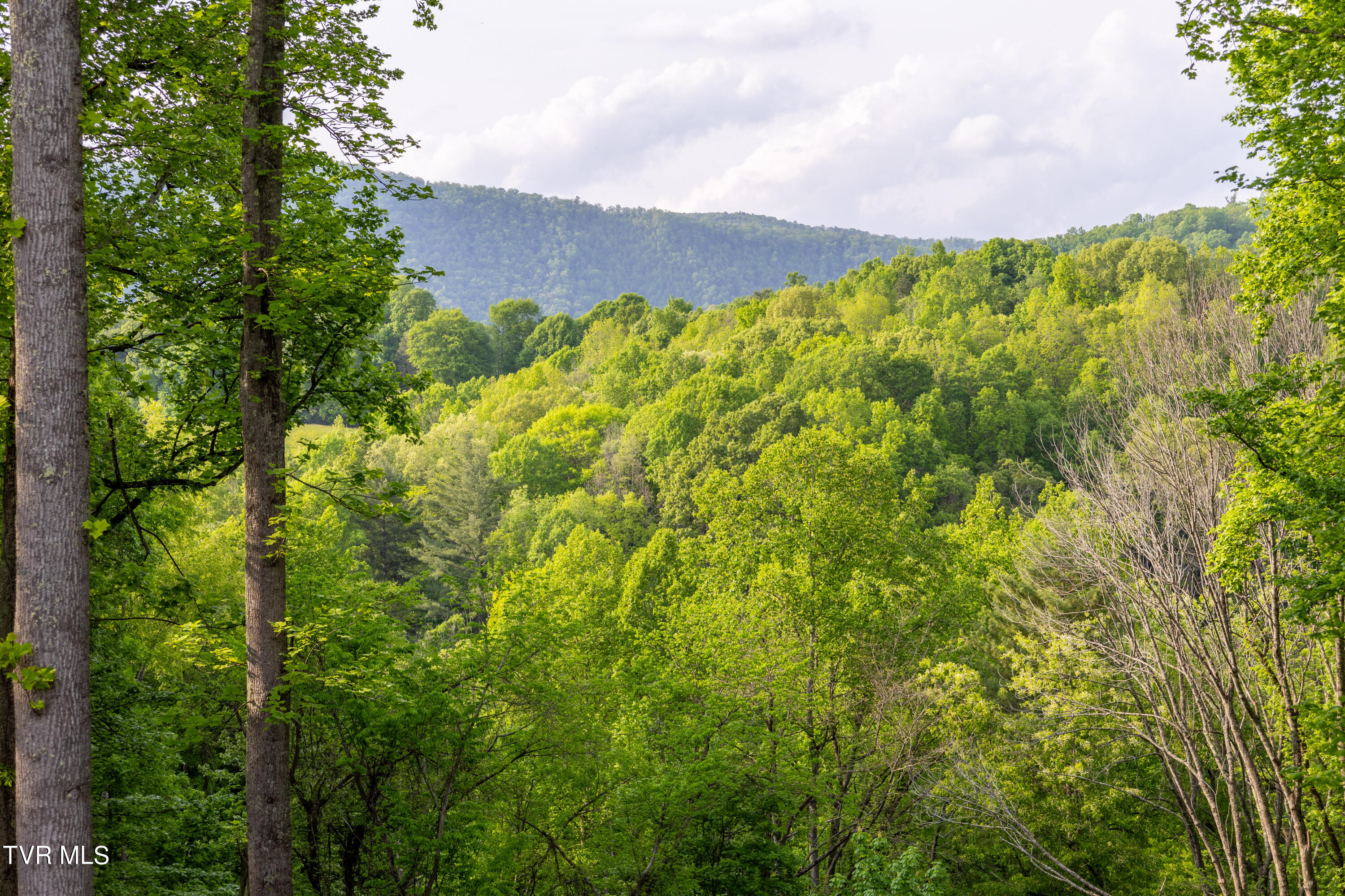Tbd Watauga Ridge Road, Butler, Tennessee image 16