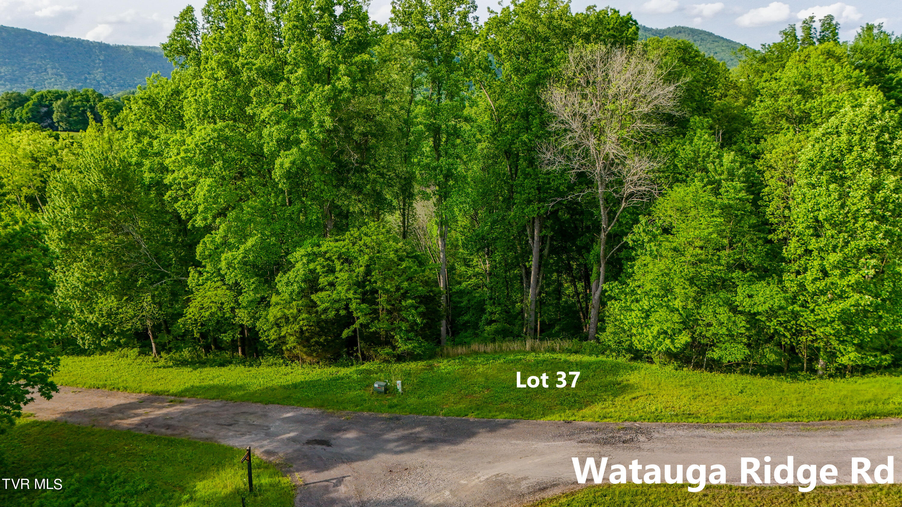Tbd Watauga Ridge Road, Butler, Tennessee image 7