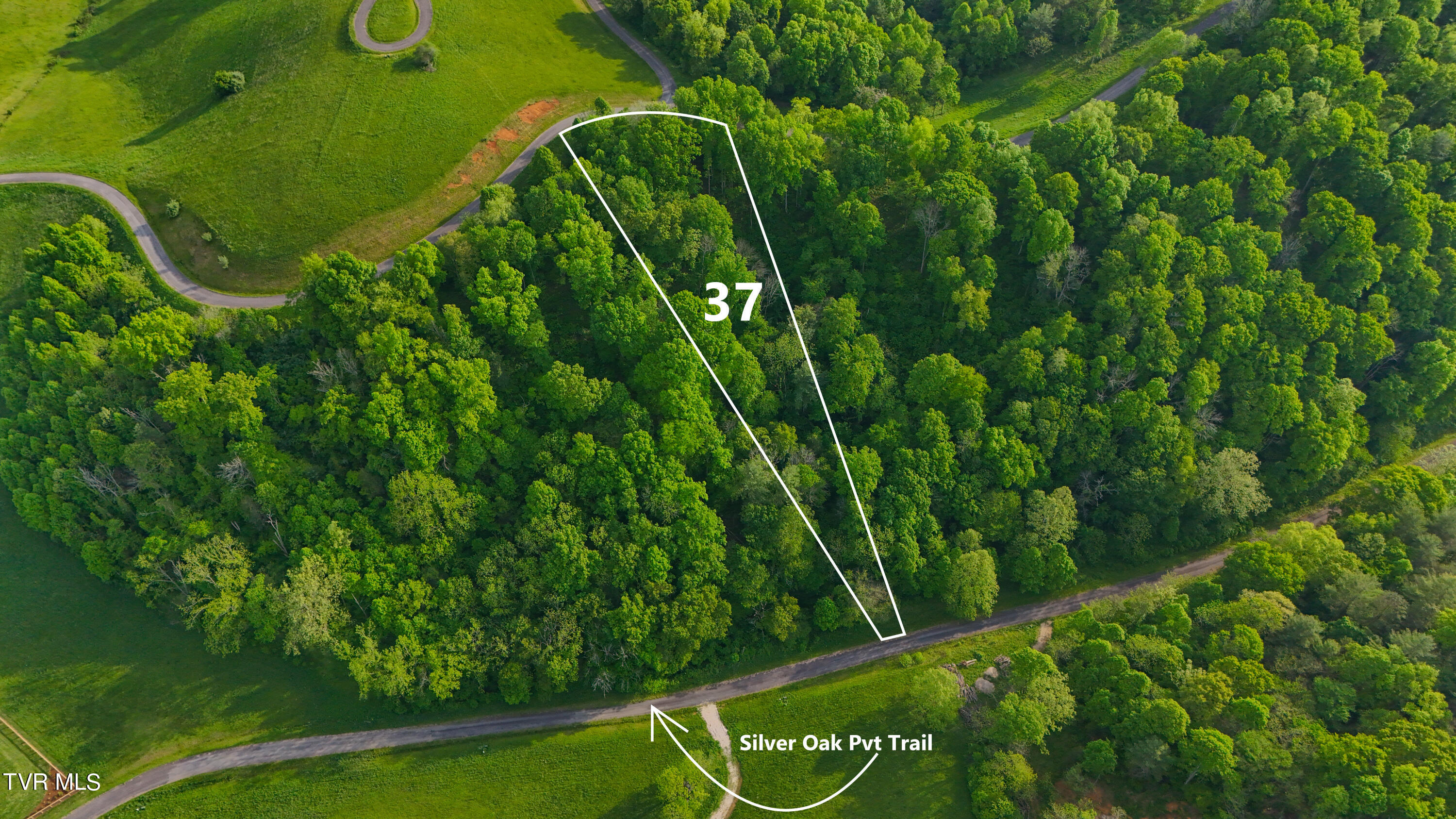 Tbd Watauga Ridge Road, Butler, Tennessee image 11