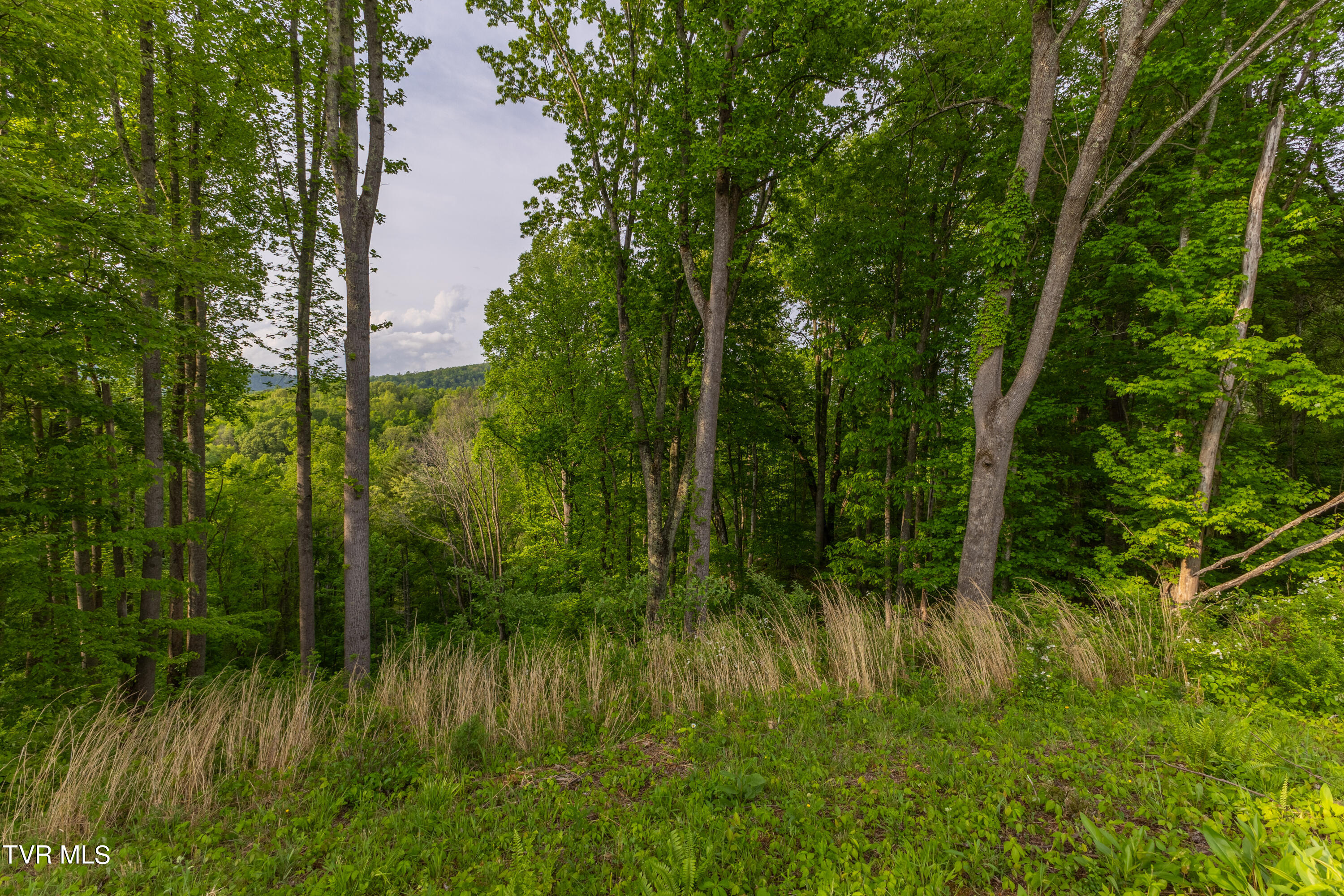 Tbd Watauga Ridge Road, Butler, Tennessee image 1