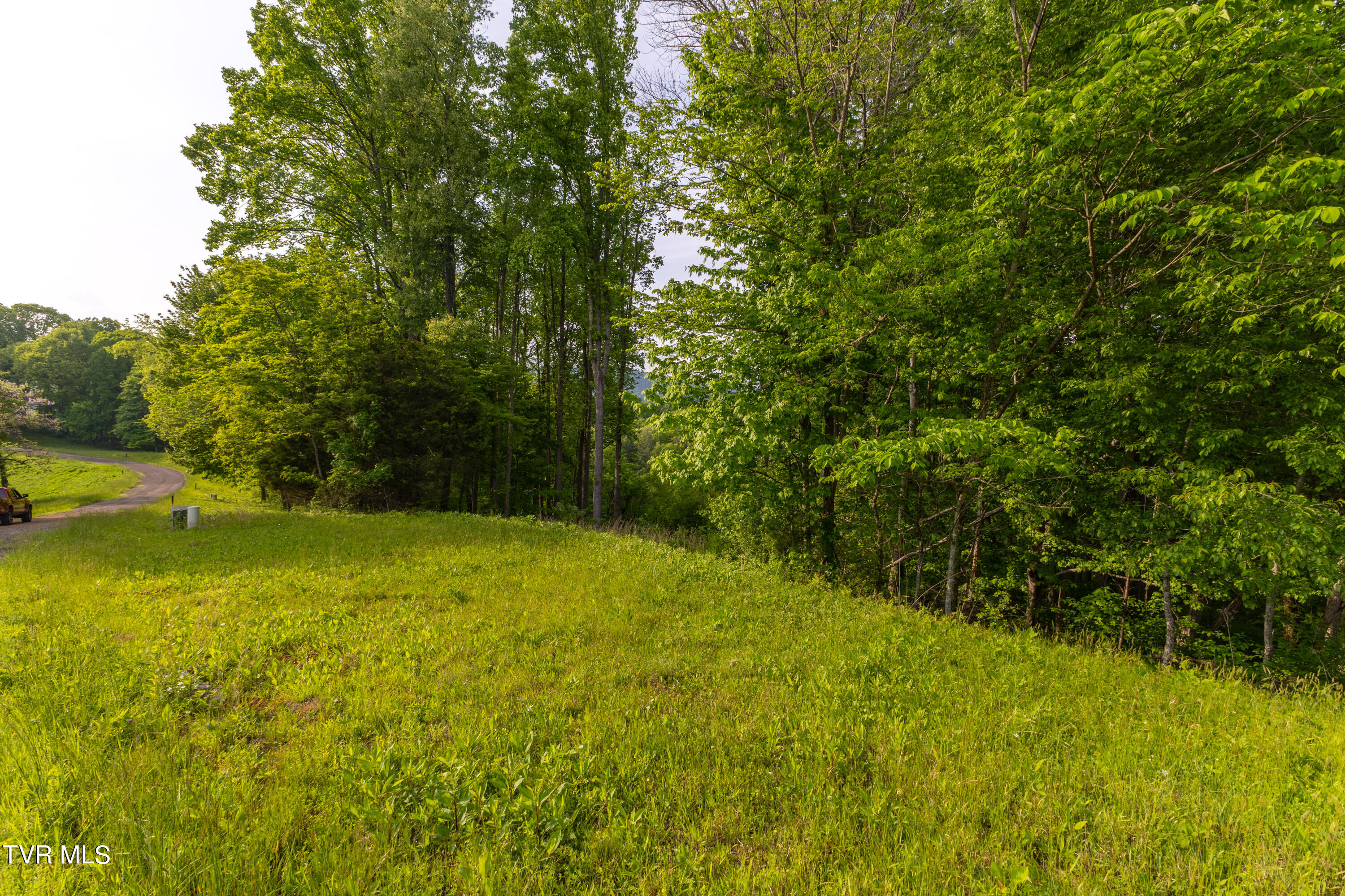 Tbd Watauga Ridge Road, Butler, Tennessee image 14