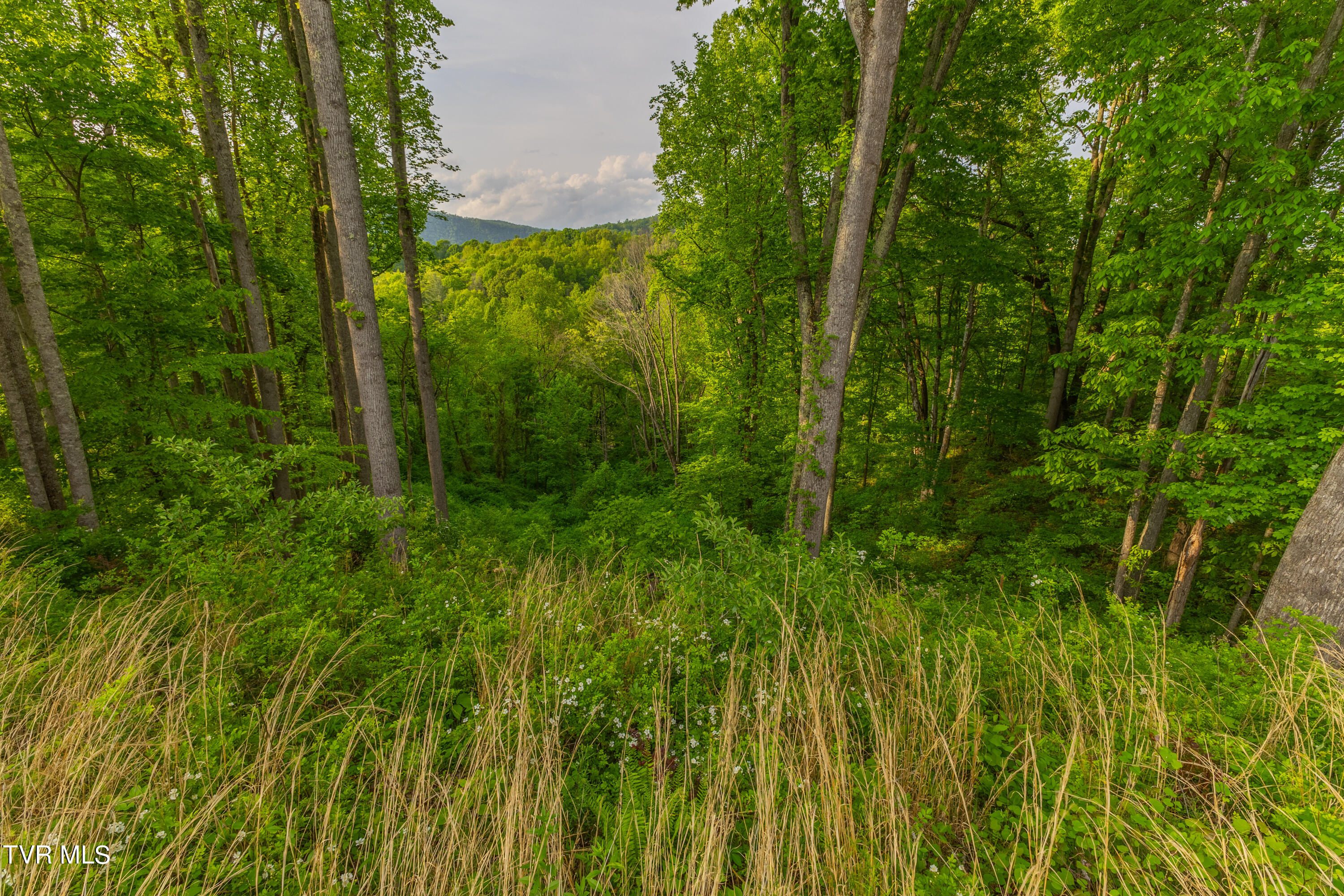 Tbd Watauga Ridge Road, Butler, Tennessee image 6